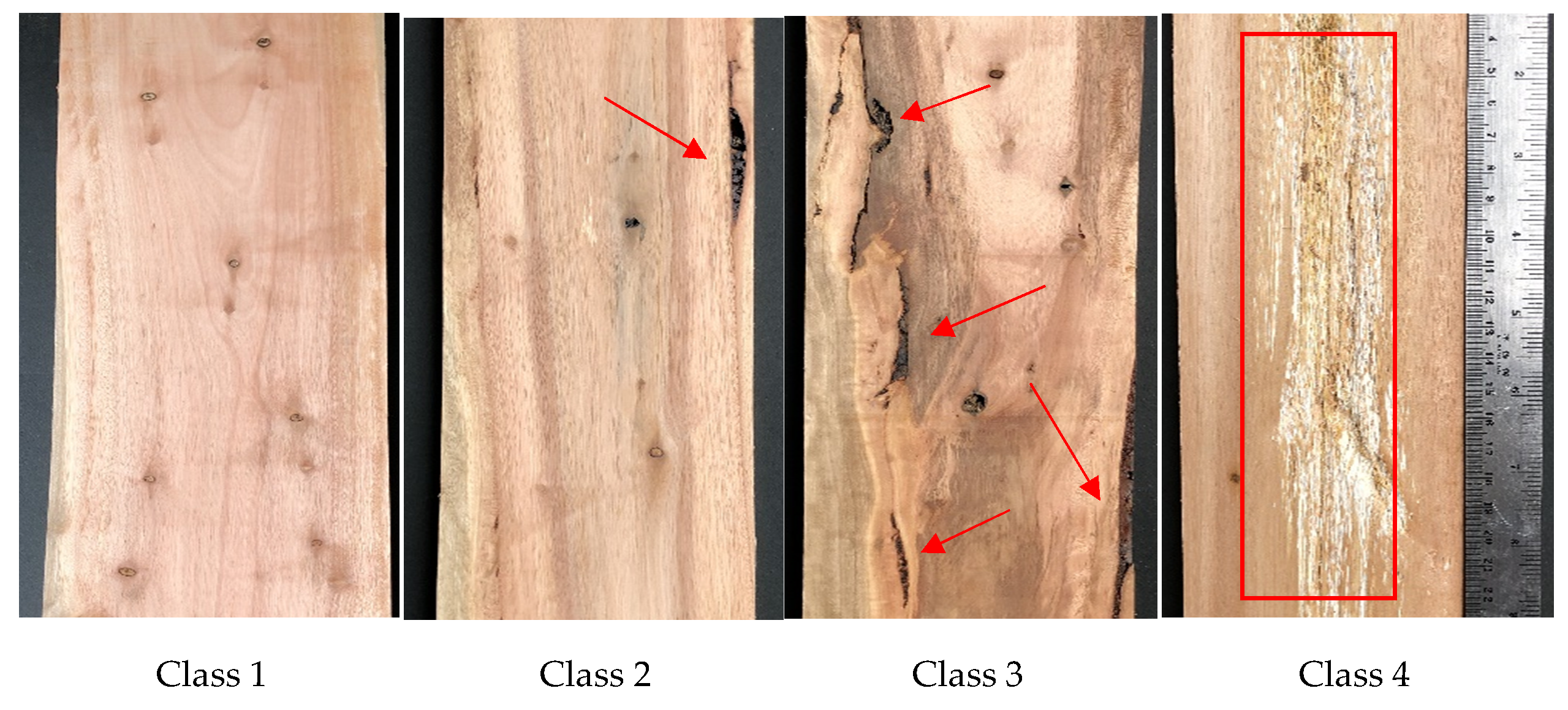 Forests 12 00639 g003