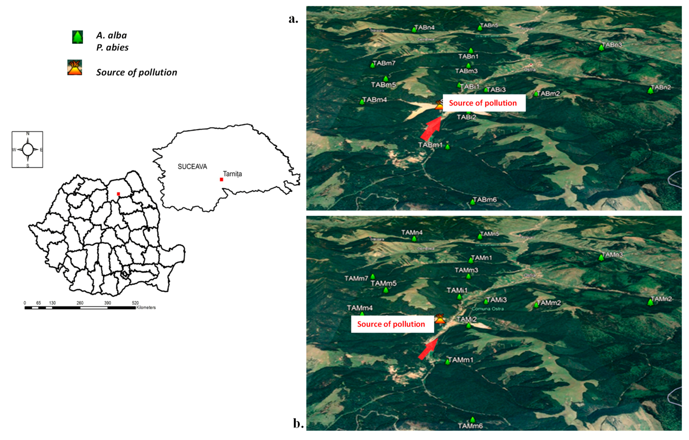 Forests 12 00640 g001 Forests 12 00640 g001