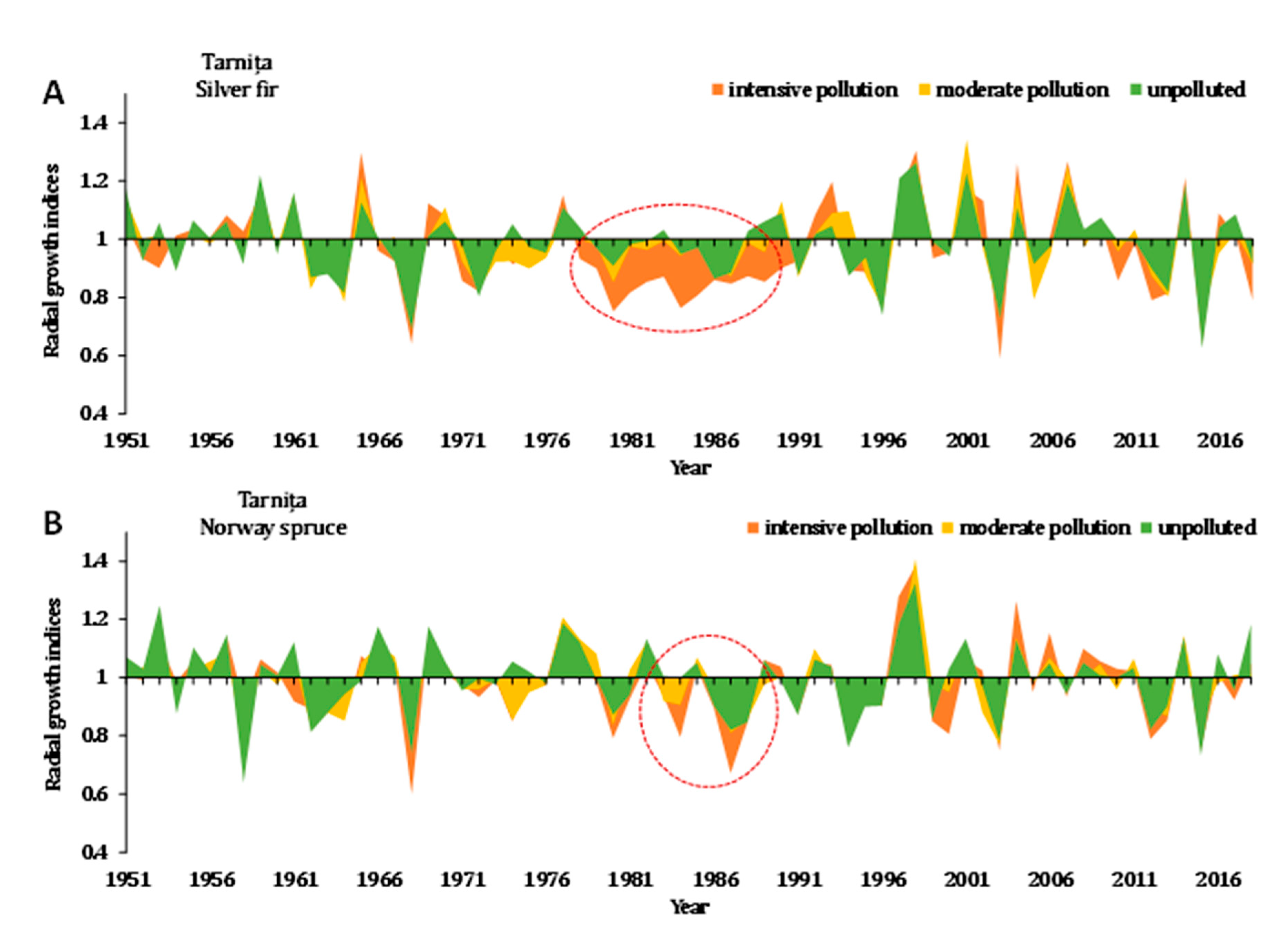 Forests 12 00640 g002 Forests 12 00640 g002