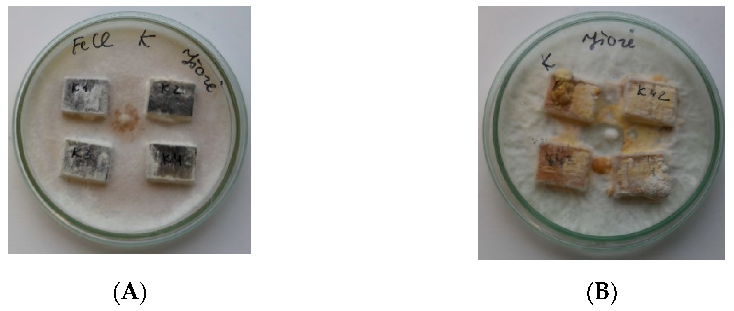 Forests 12 00645 g003 Forests 12 00645 g003