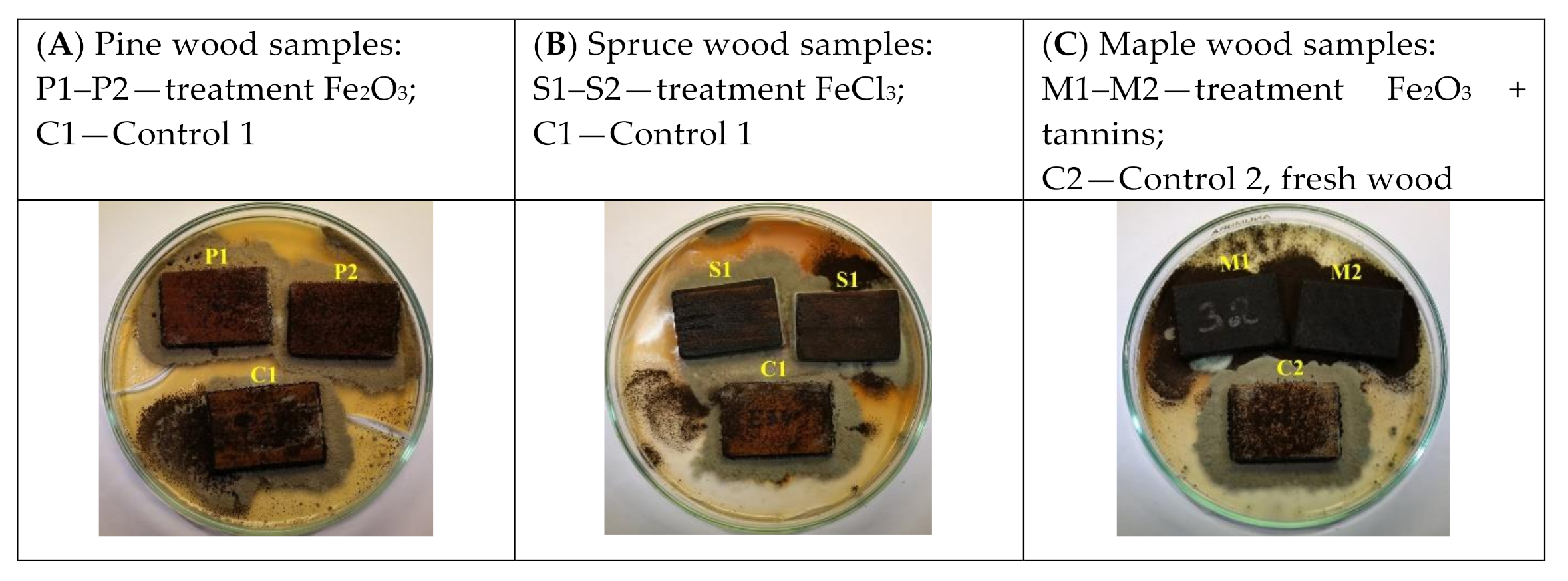 Forests 12 00645 g005 Forests 12 00645 g005