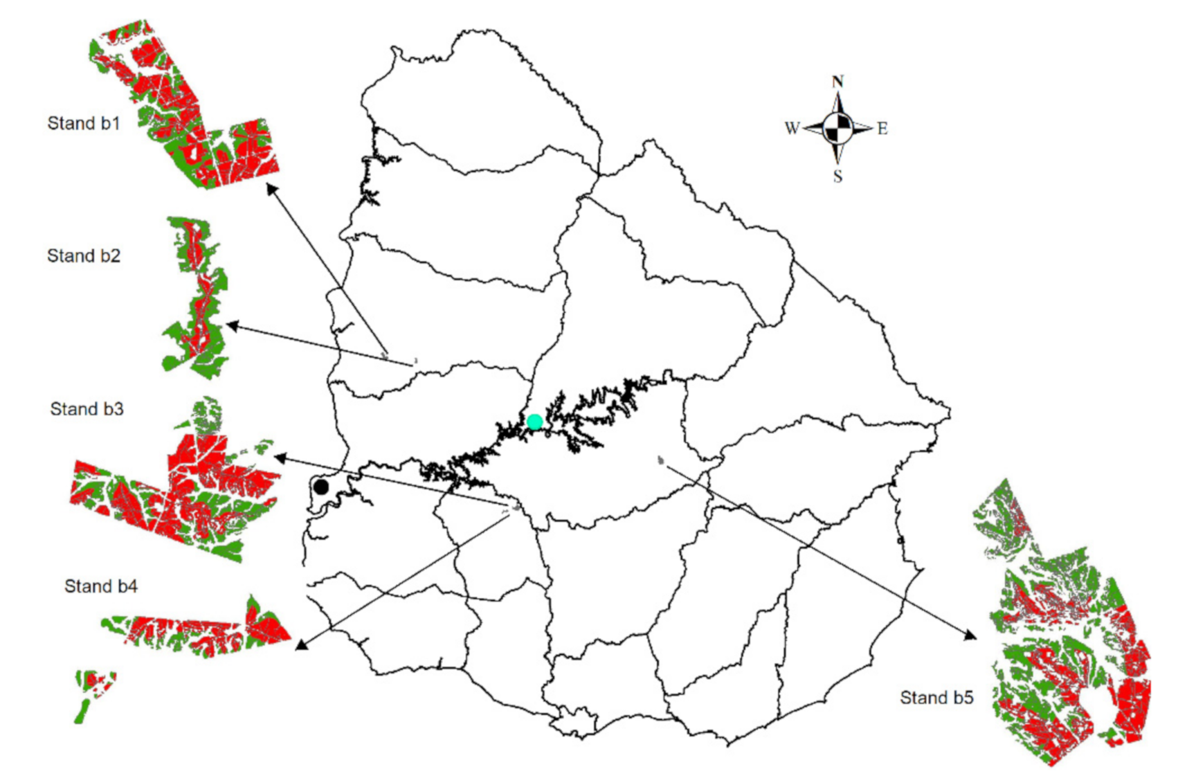 Forests 12 00651 g001 Forests 12 00651 g001