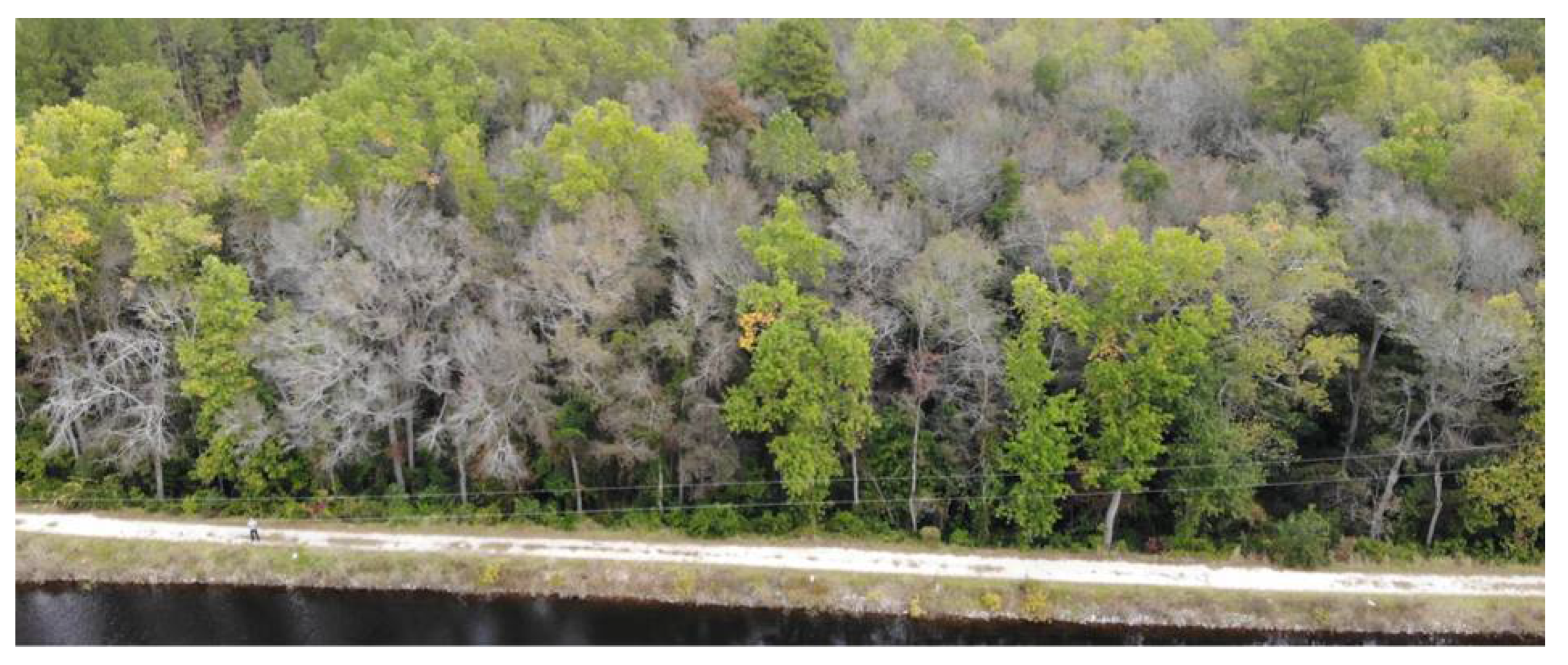 Forests 12 00659 g001