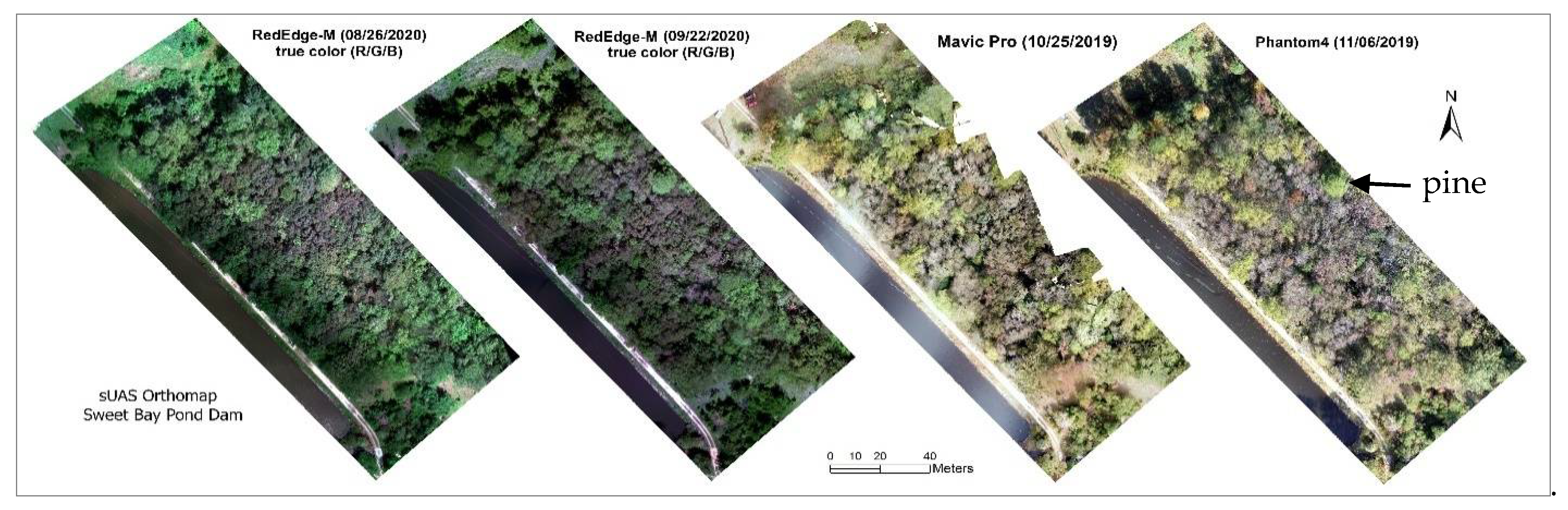 Forests 12 00659 g002