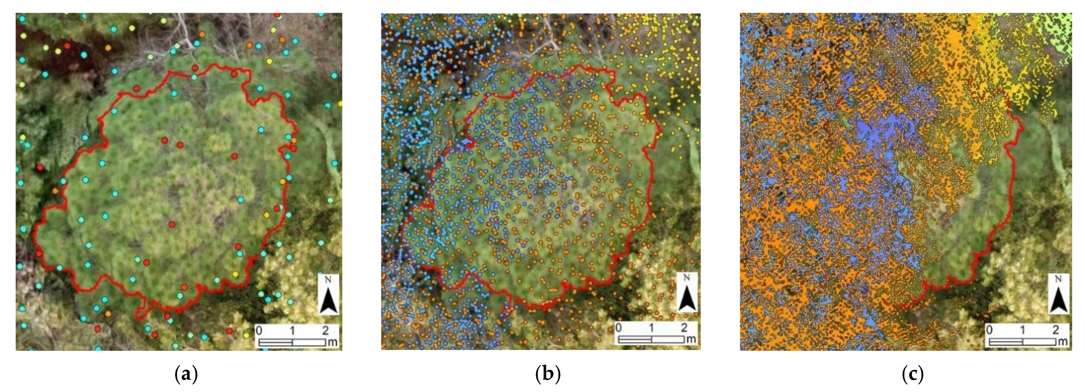 Forests 12 00659 g004
