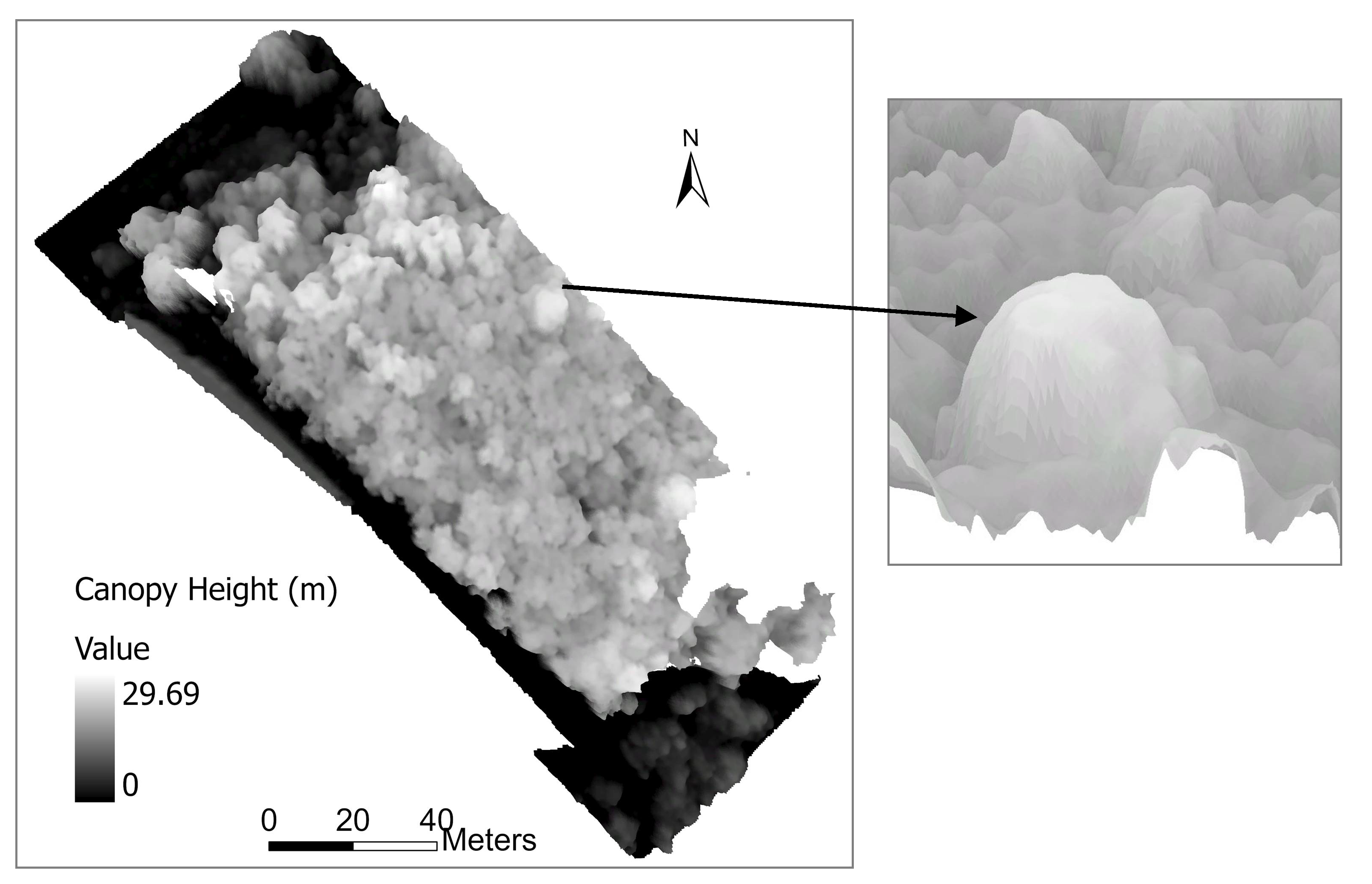 Forests 12 00659 g006