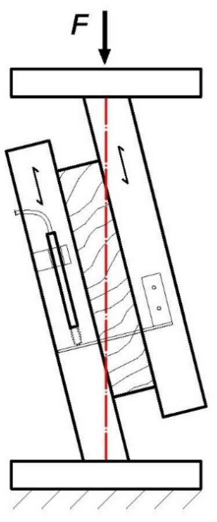 Forests 12 00668 g003