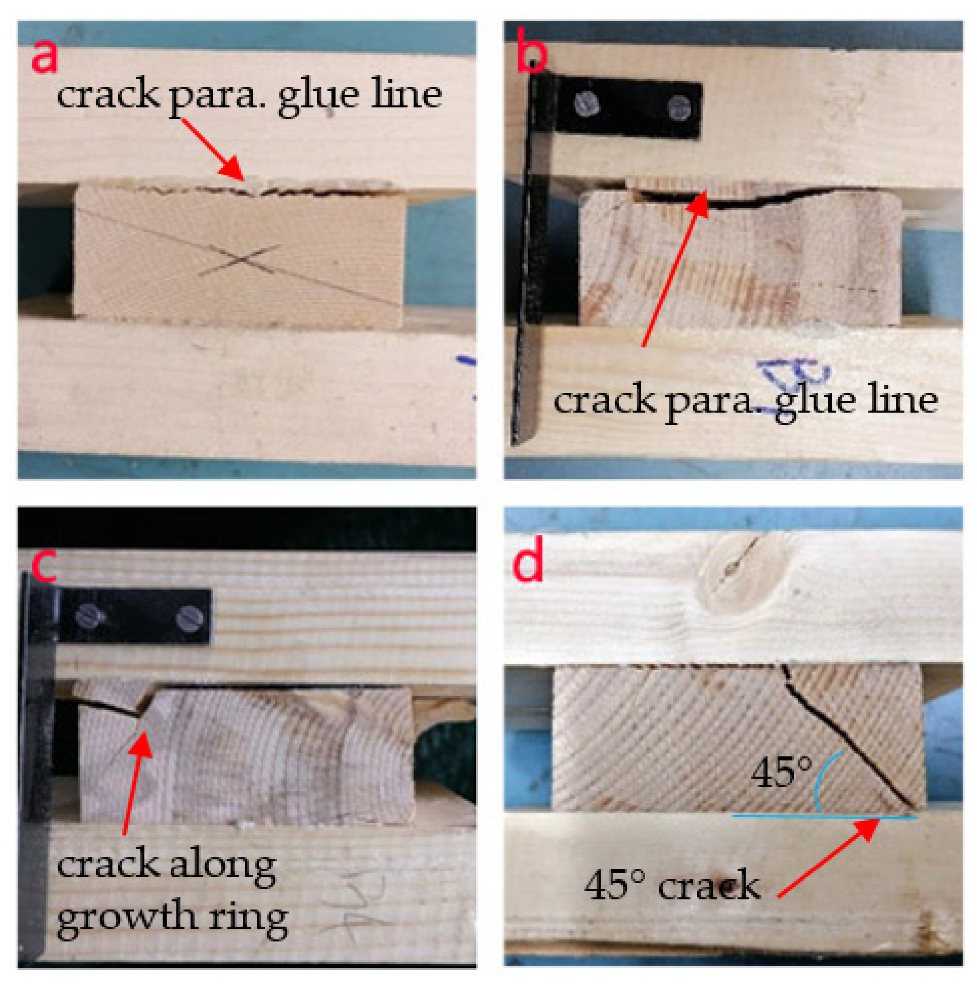 Forests 12 00668 g004