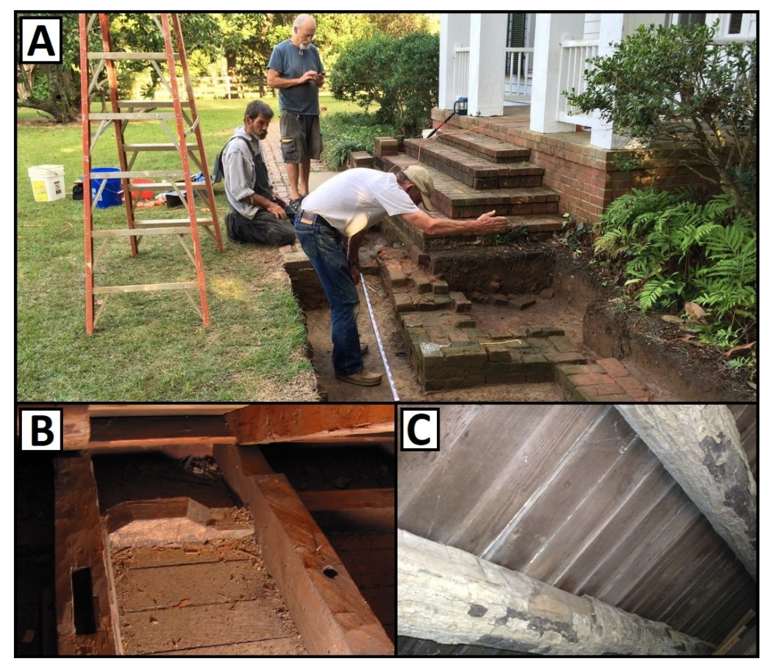 Forests 12 00670 g001 Forests 12 00670 g001