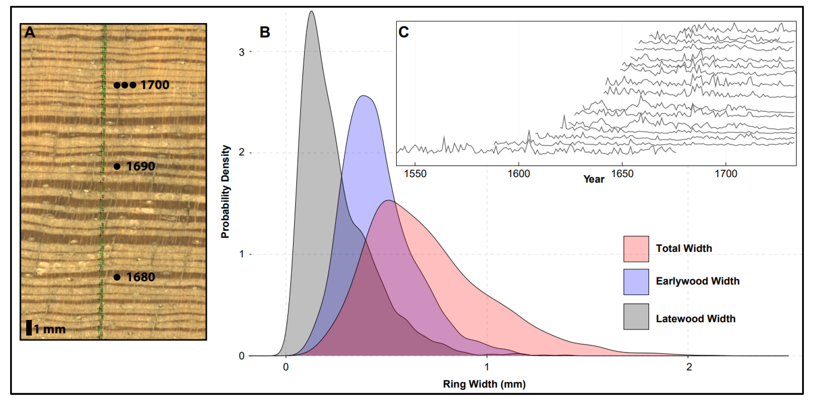 Forests 12 00670 g003 Forests 12 00670 g003