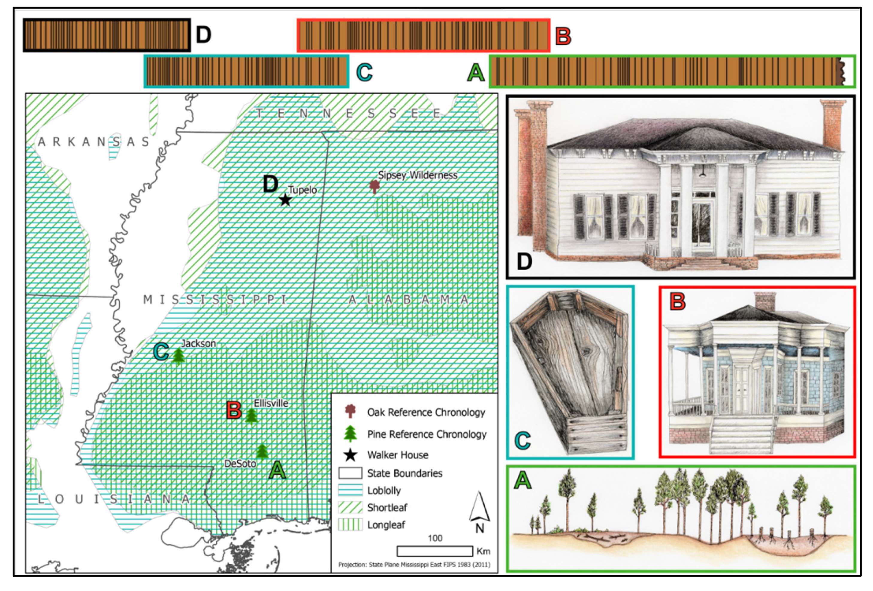 Forests 12 00670 g004 Forests 12 00670 g004