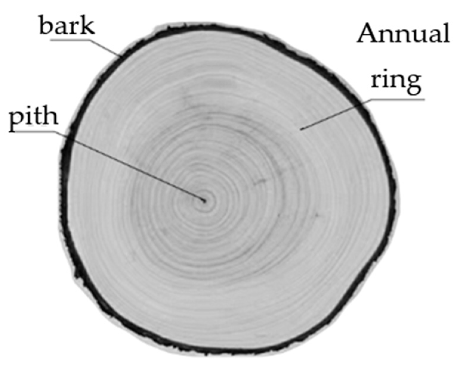 Forests 12 00671 g002 Forests 12 00671 g002