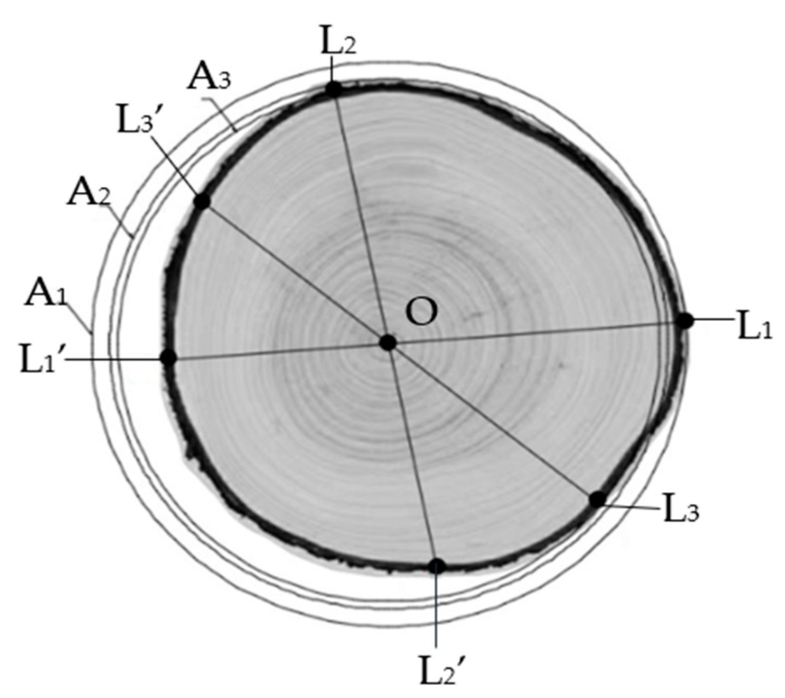 Forests 12 00671 g003 Forests 12 00671 g003