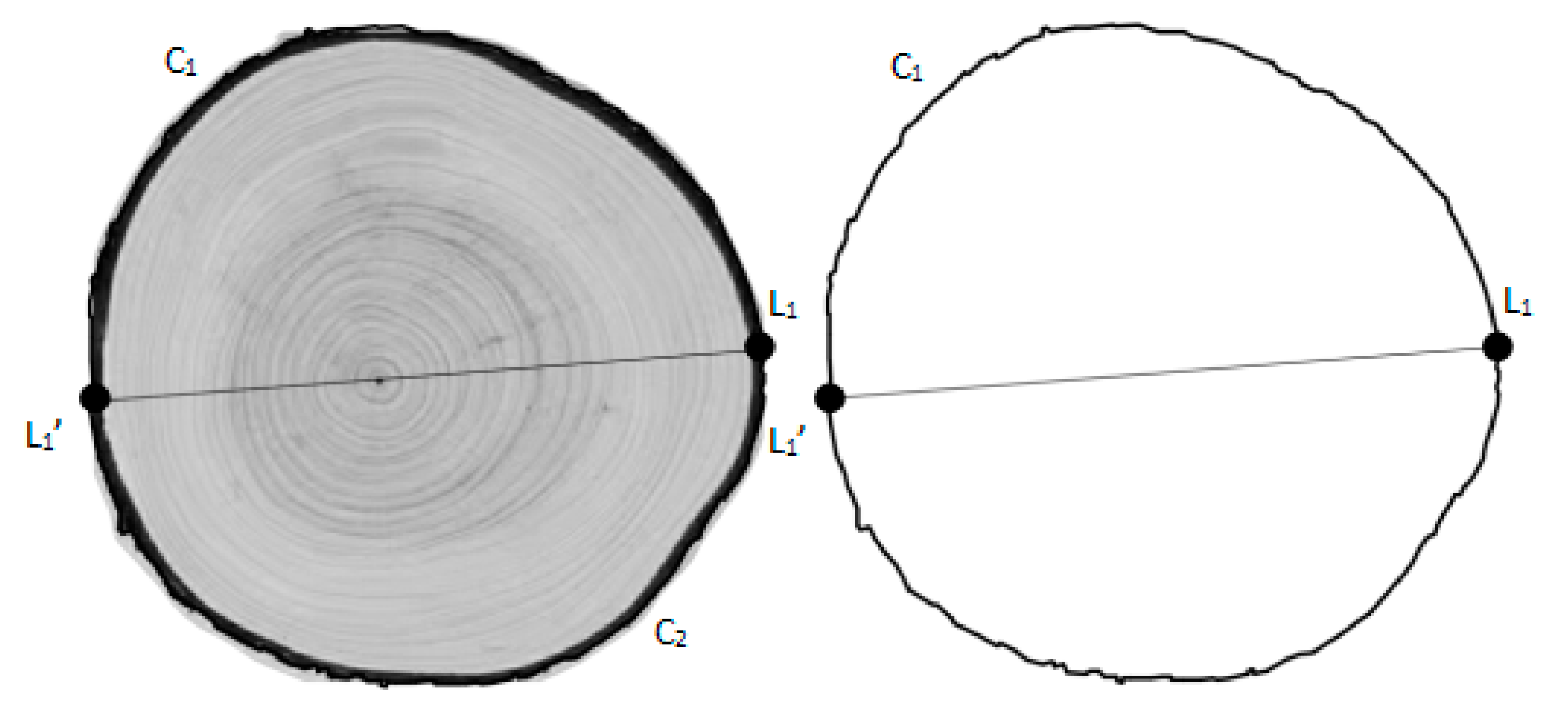 Forests 12 00671 g004 Forests 12 00671 g004