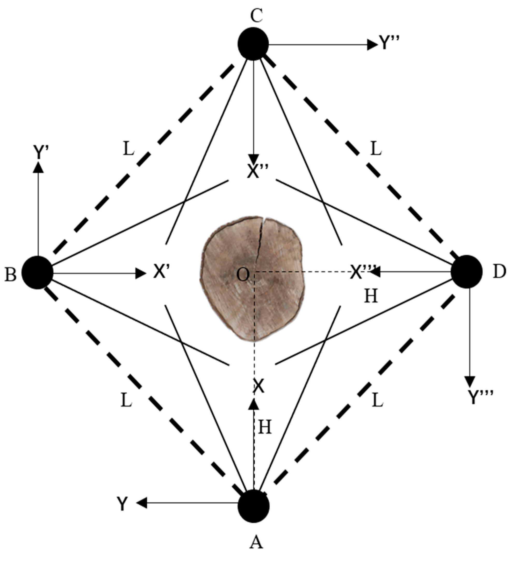 Forests 12 00671 g006 Forests 12 00671 g006