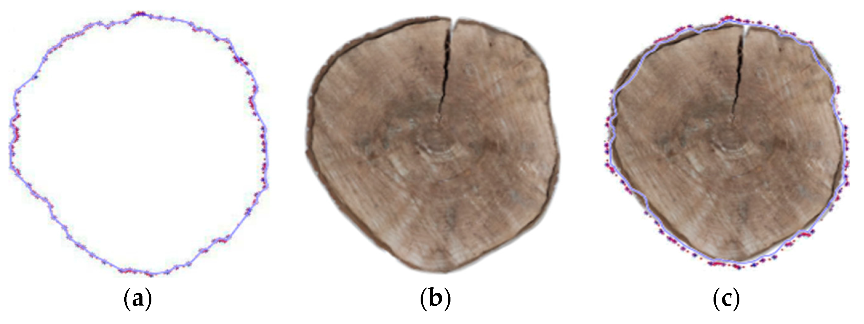 Forests 12 00671 g013 Forests 12 00671 g013