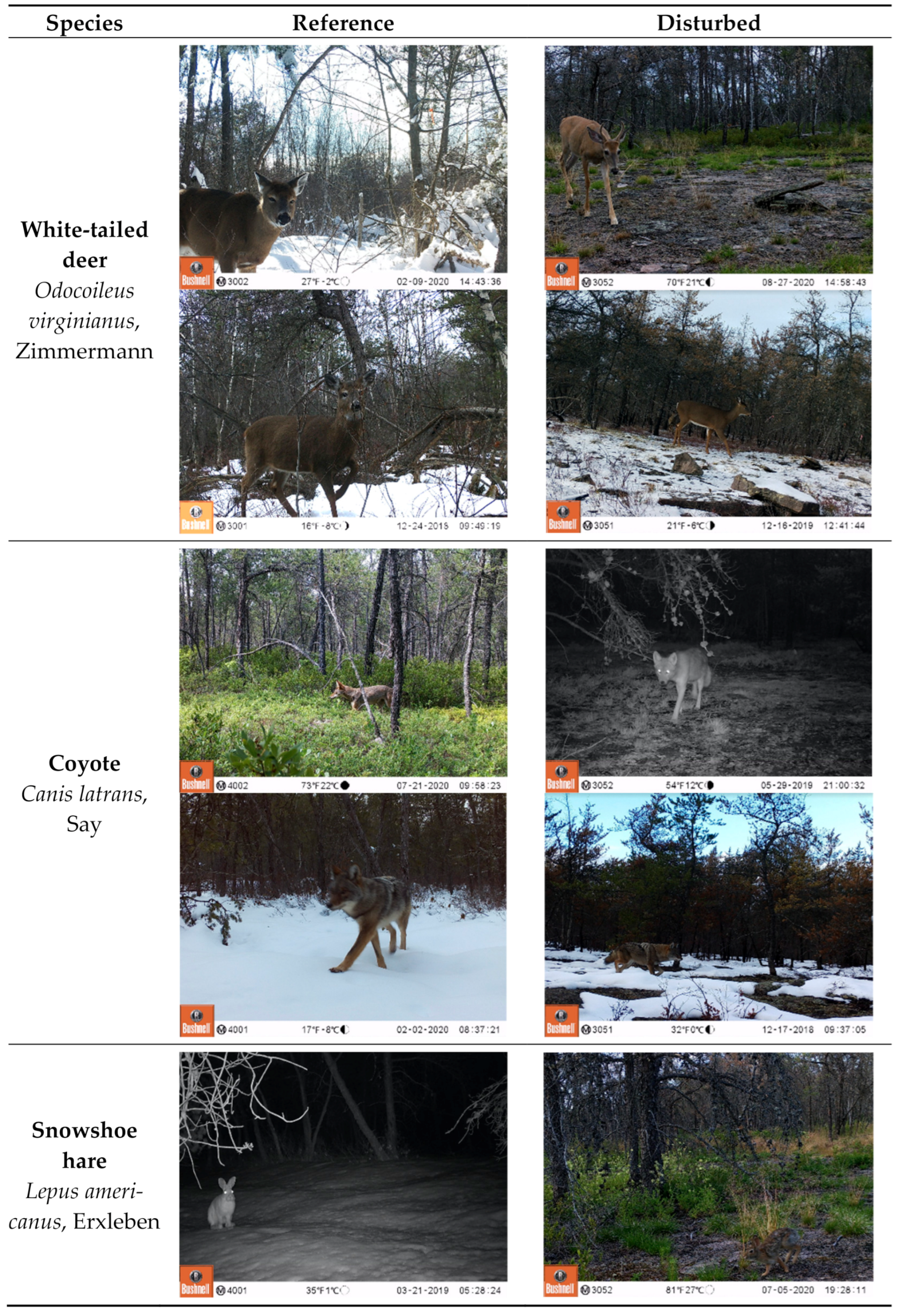 Forests 12 00676 g0a1a