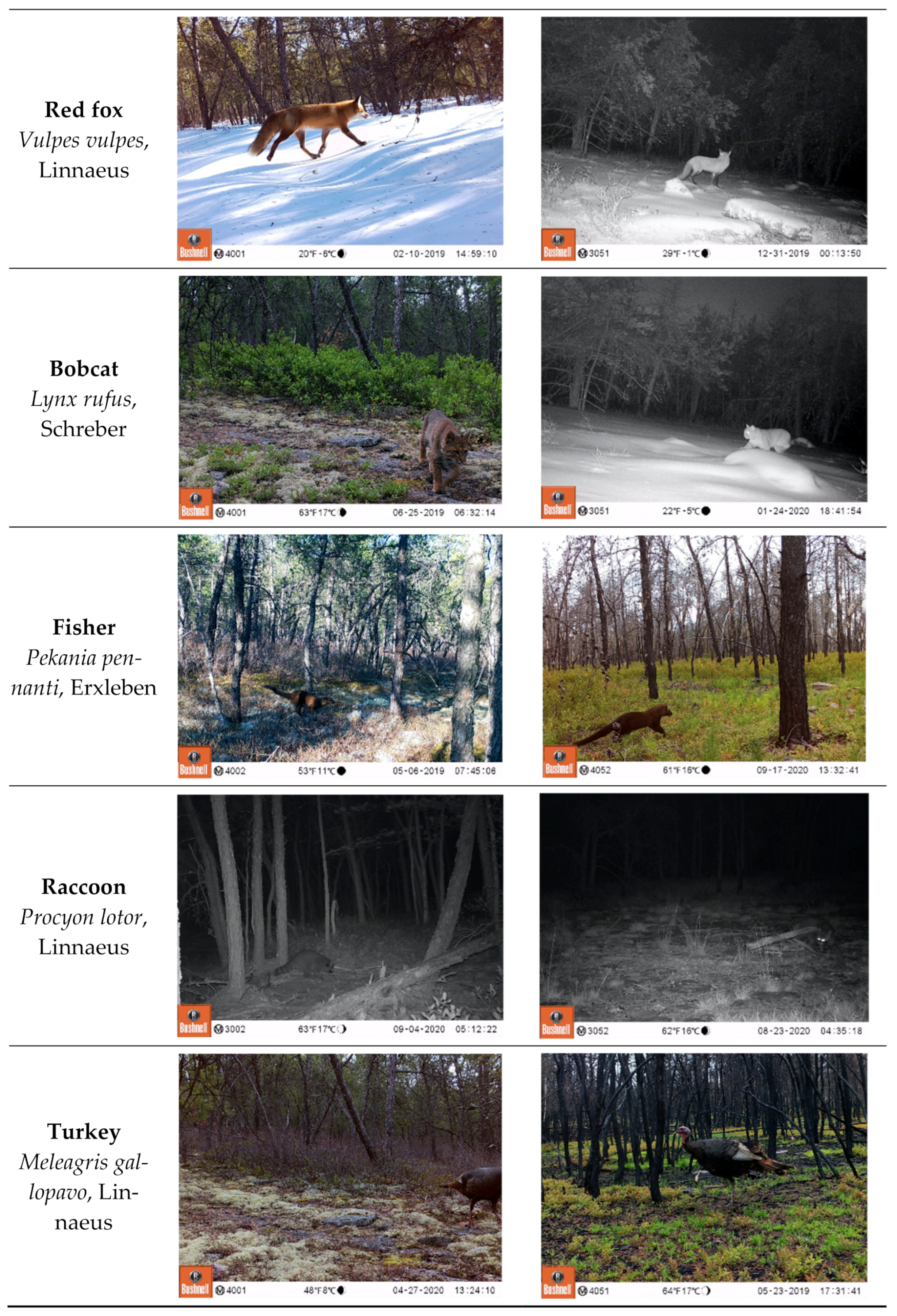 Forests 12 00676 g0a1b