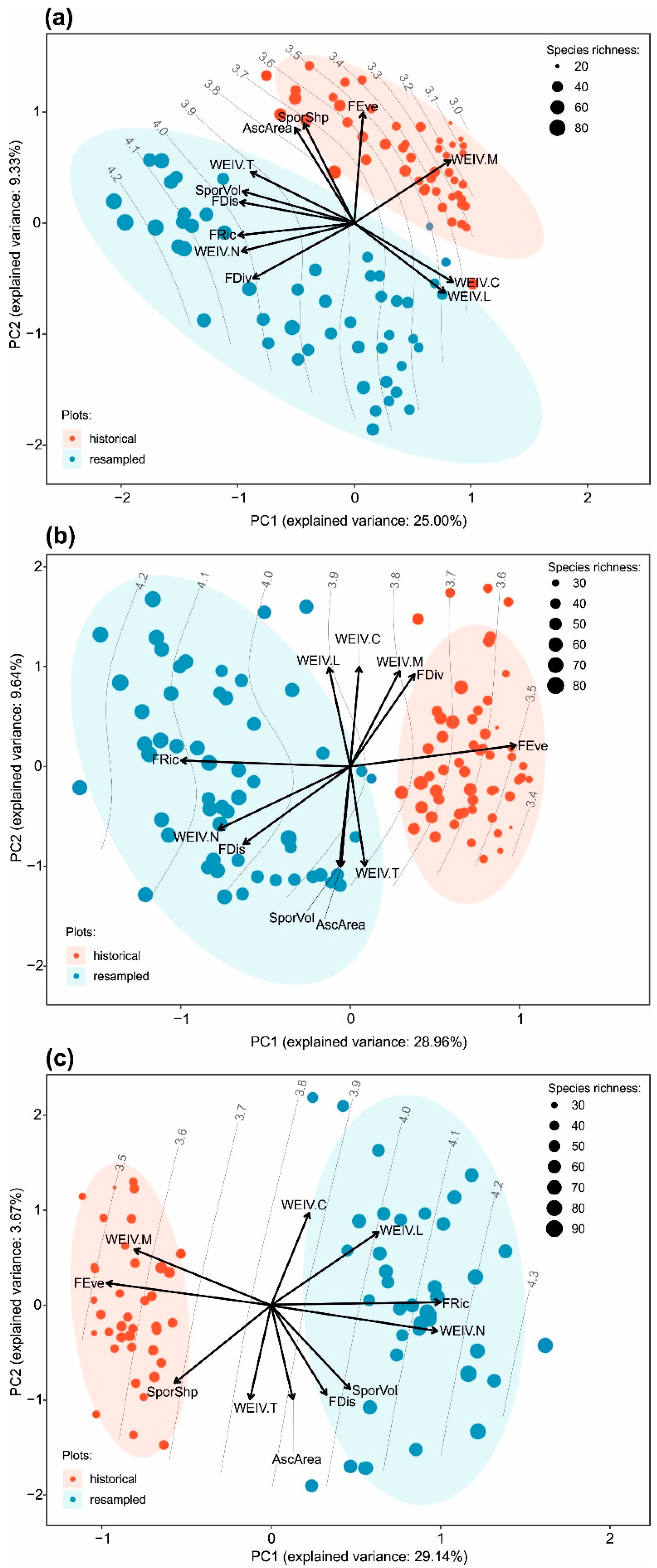 Forests 12 00686 g002 Forests 12 00686 g002