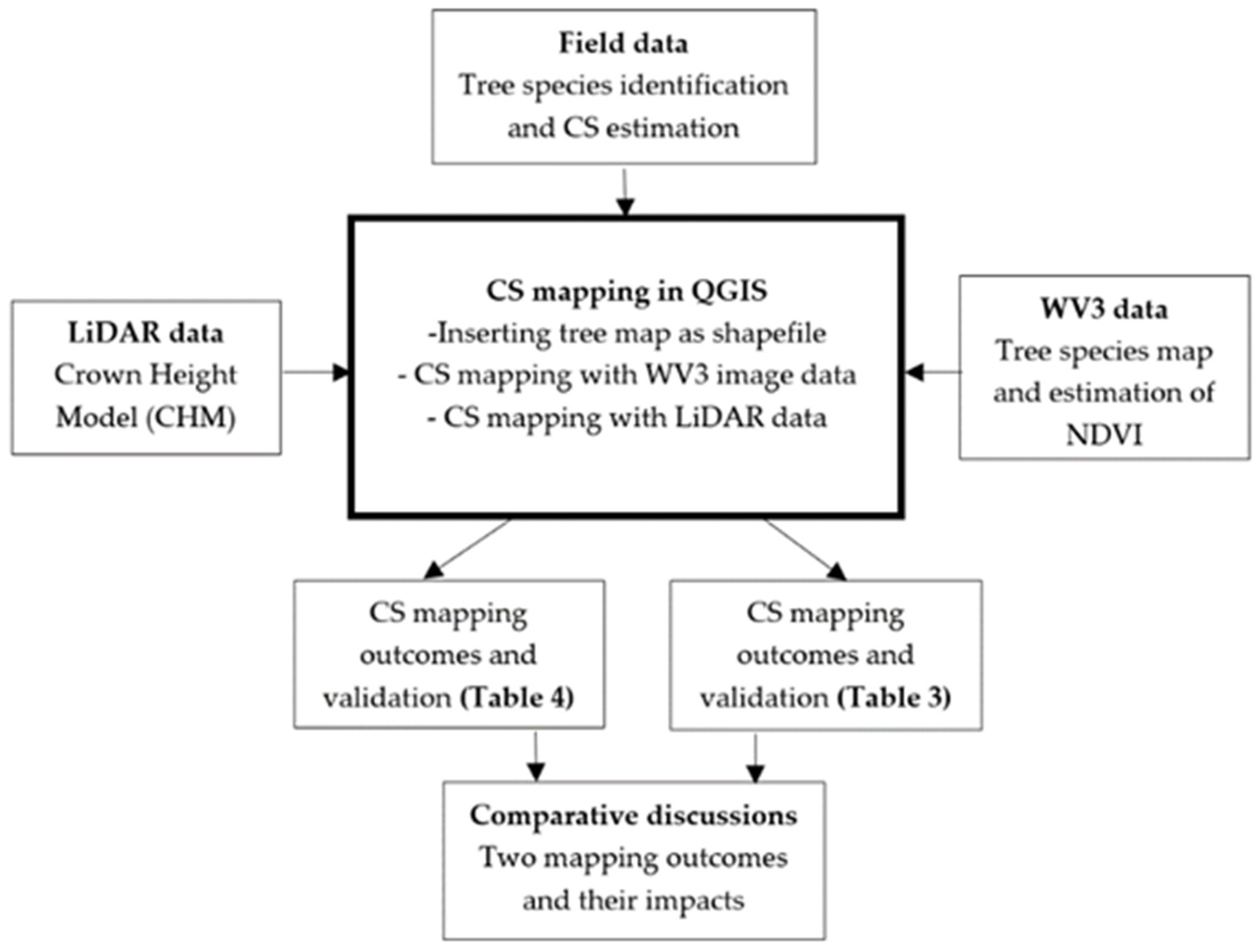 Forests 12 00692 g004 Forests 12 00692 g004
