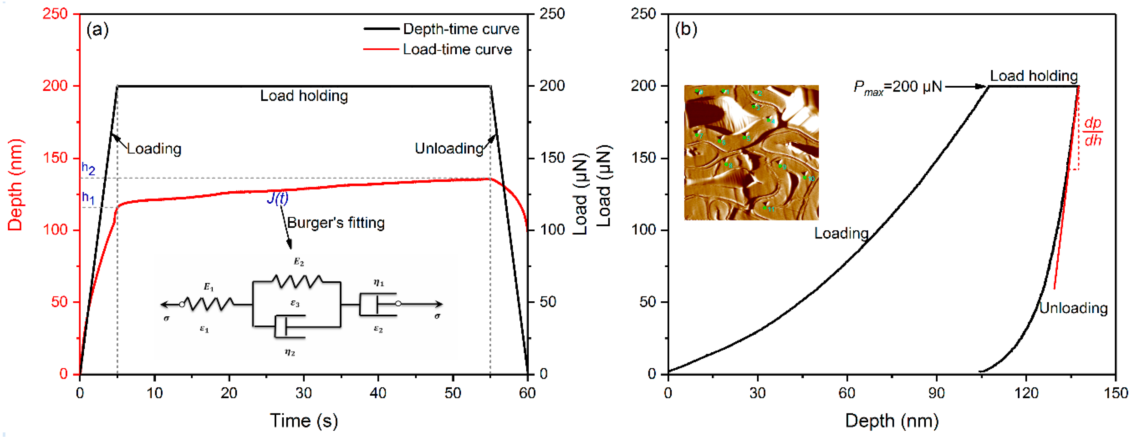 Forests 12 00693 g002