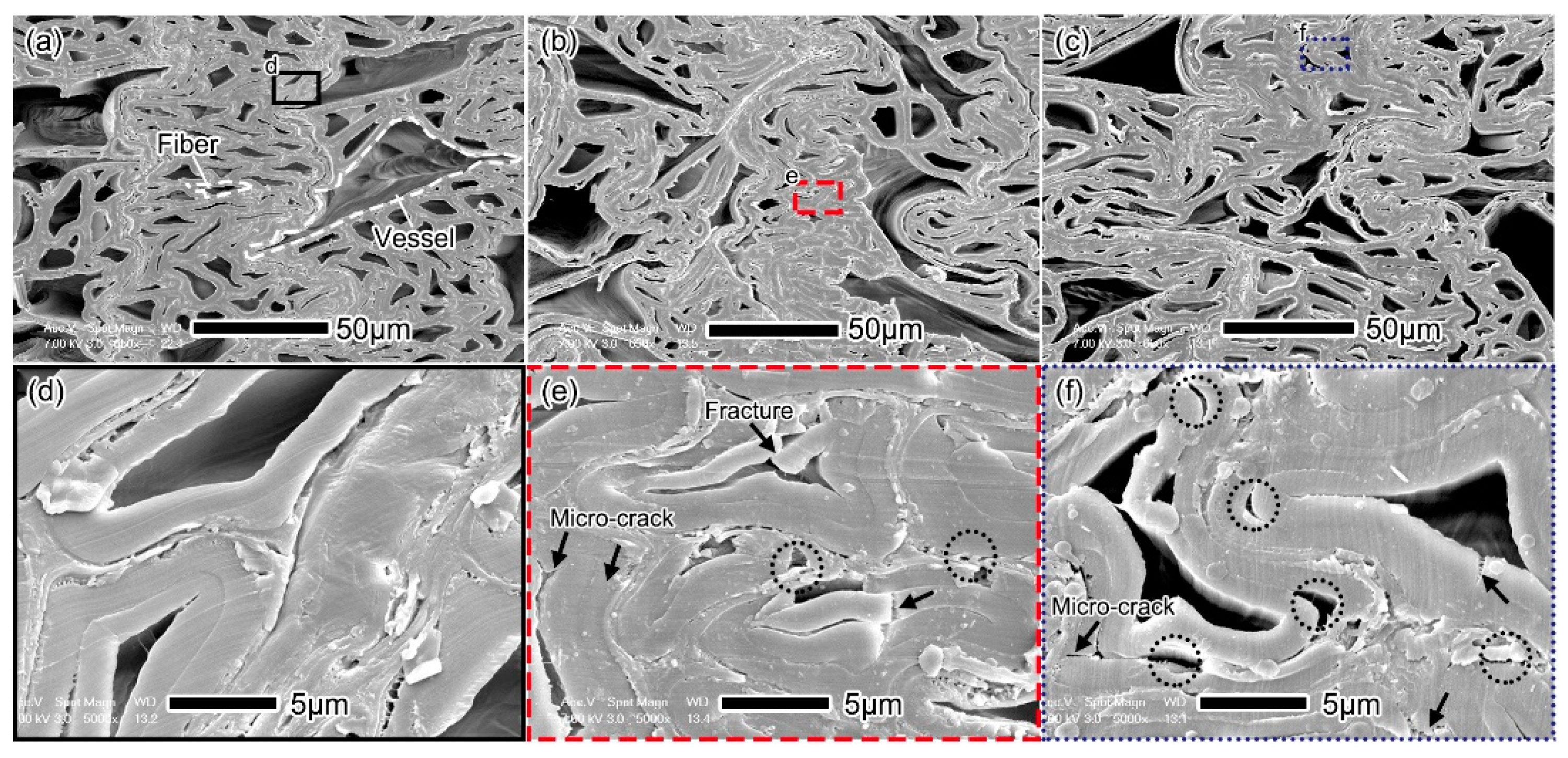 Forests 12 00693 g003