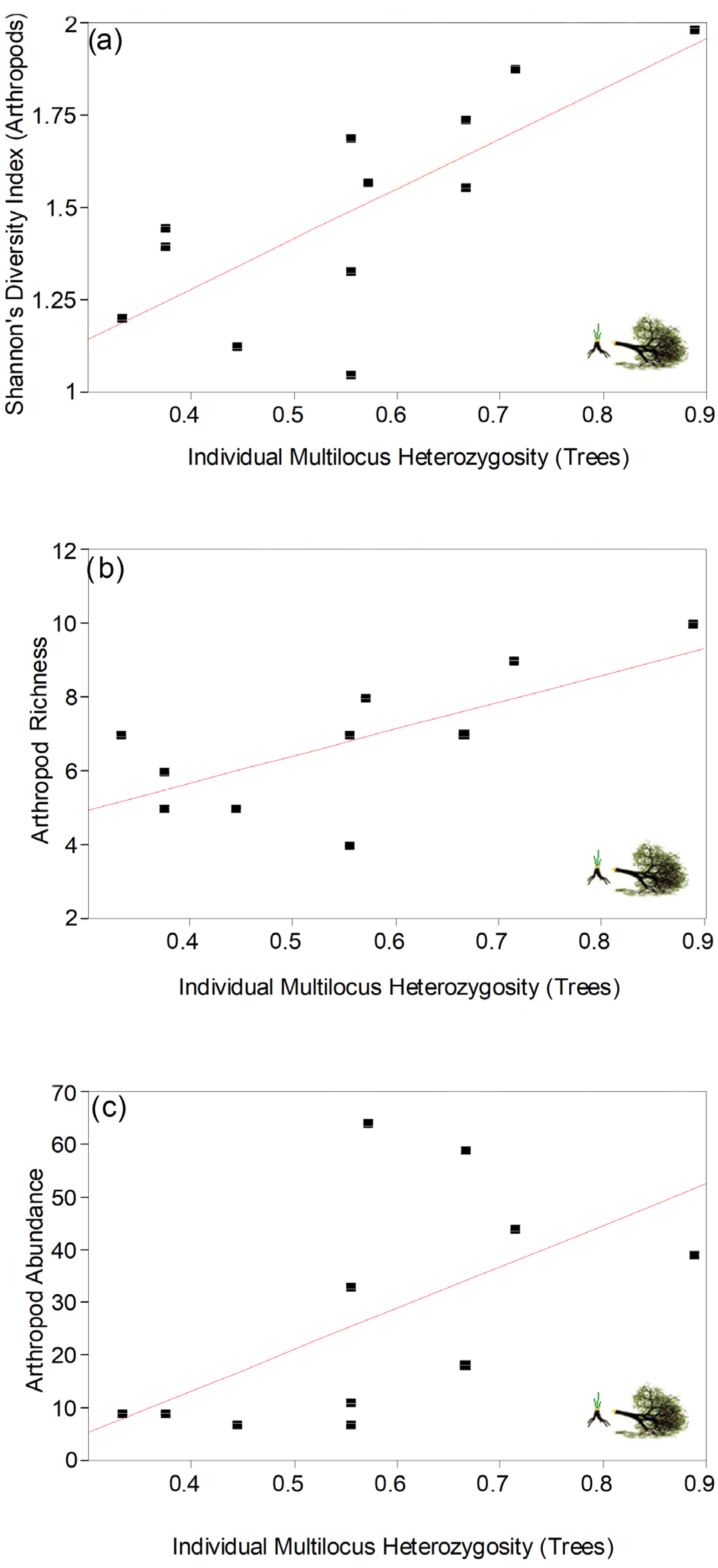 Forests 12 00694 g002 Forests 12 00694 g002