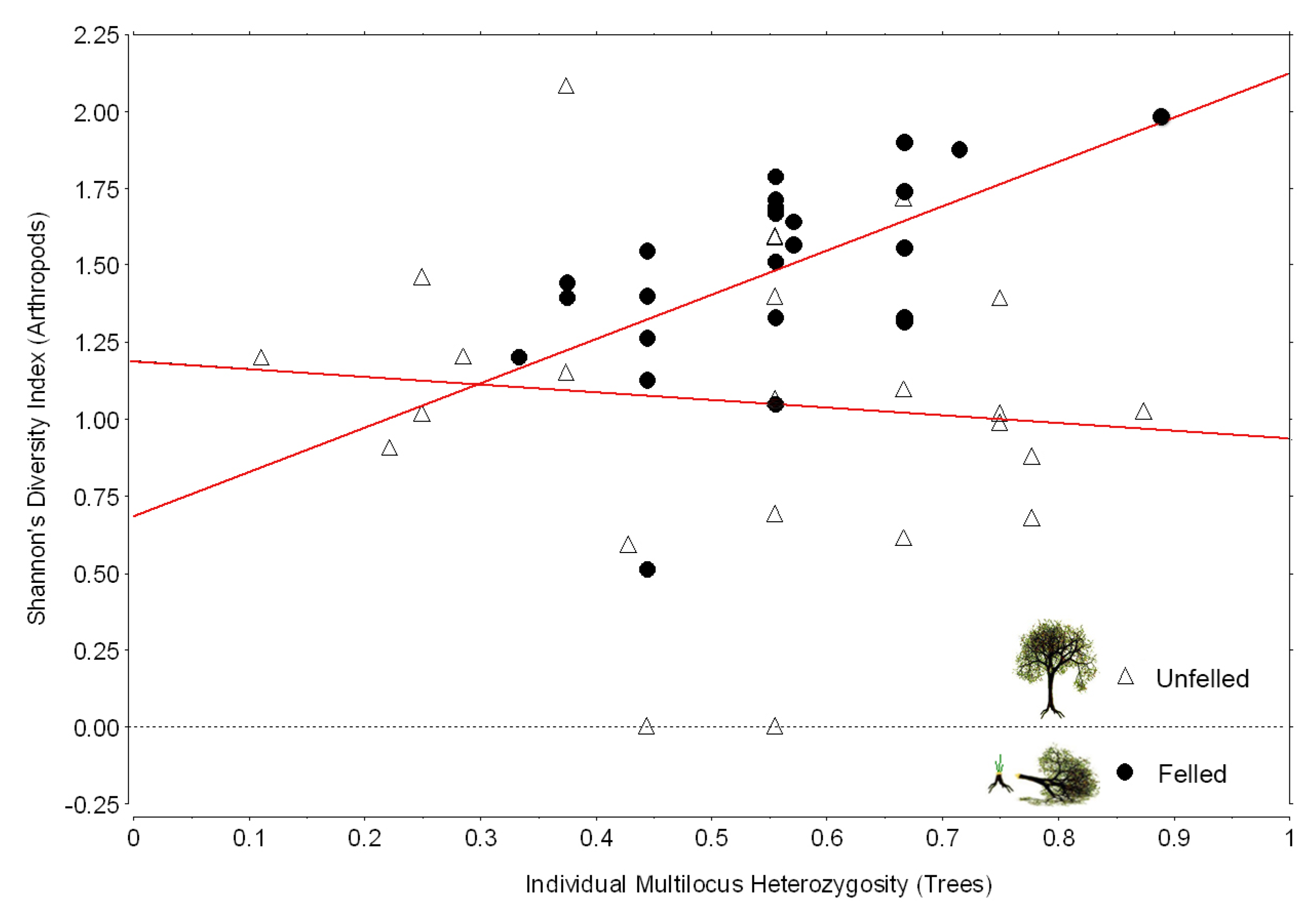 Forests 12 00694 g004 Forests 12 00694 g004