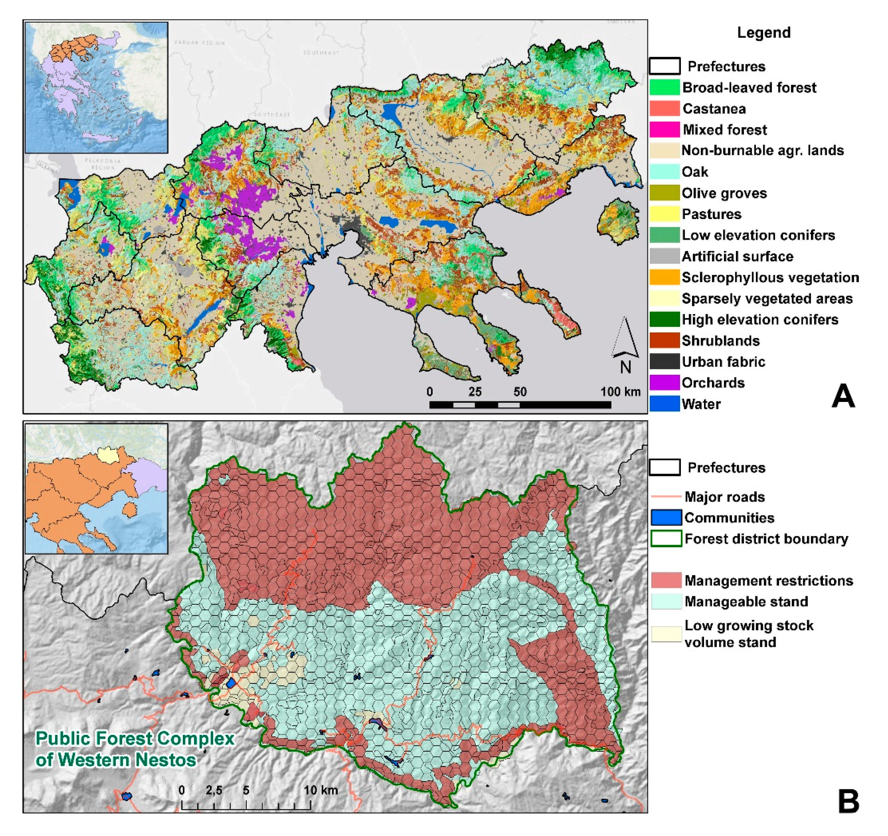 Forests 12 00697 g001