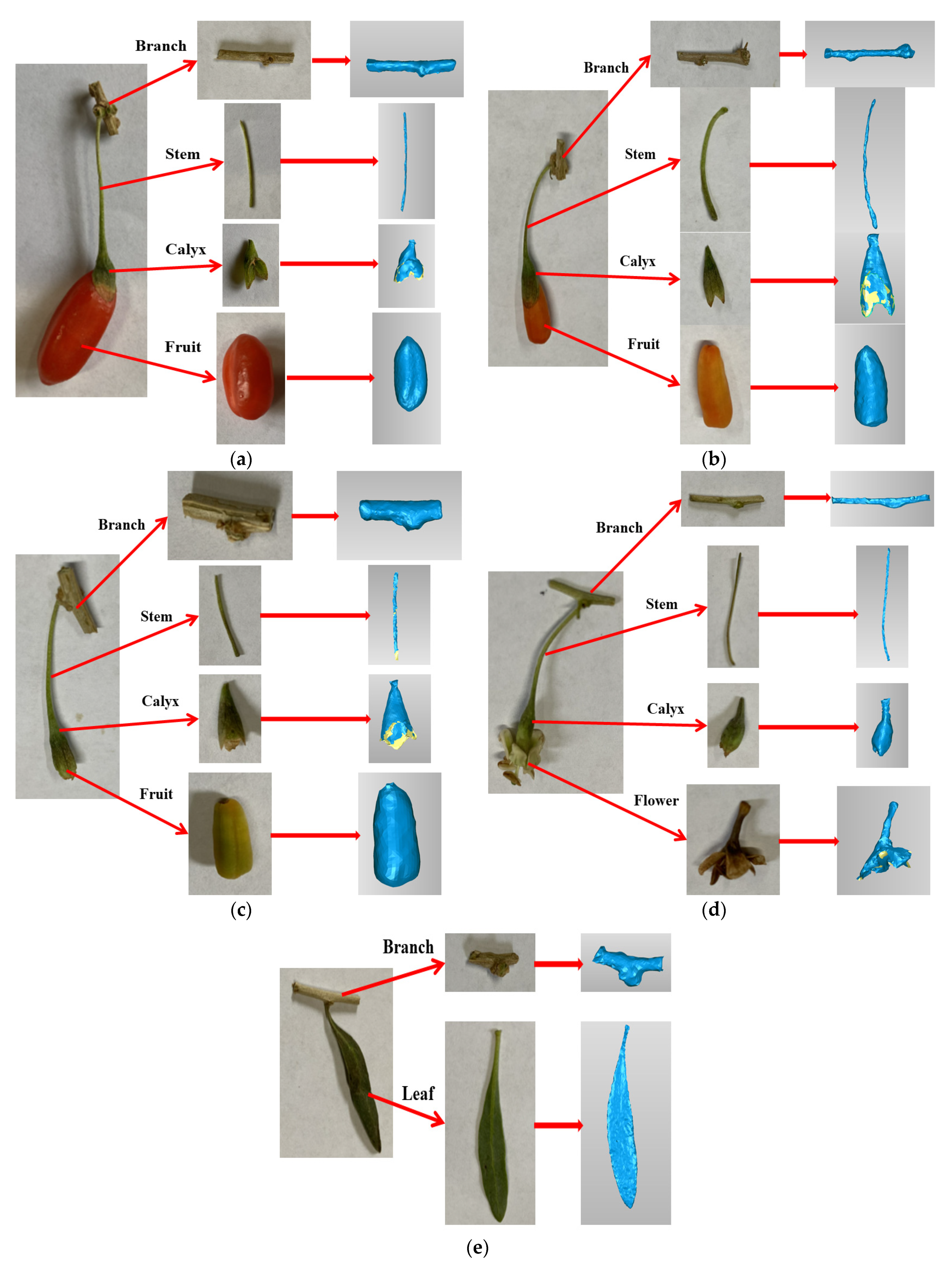 Forests 12 00699 g001