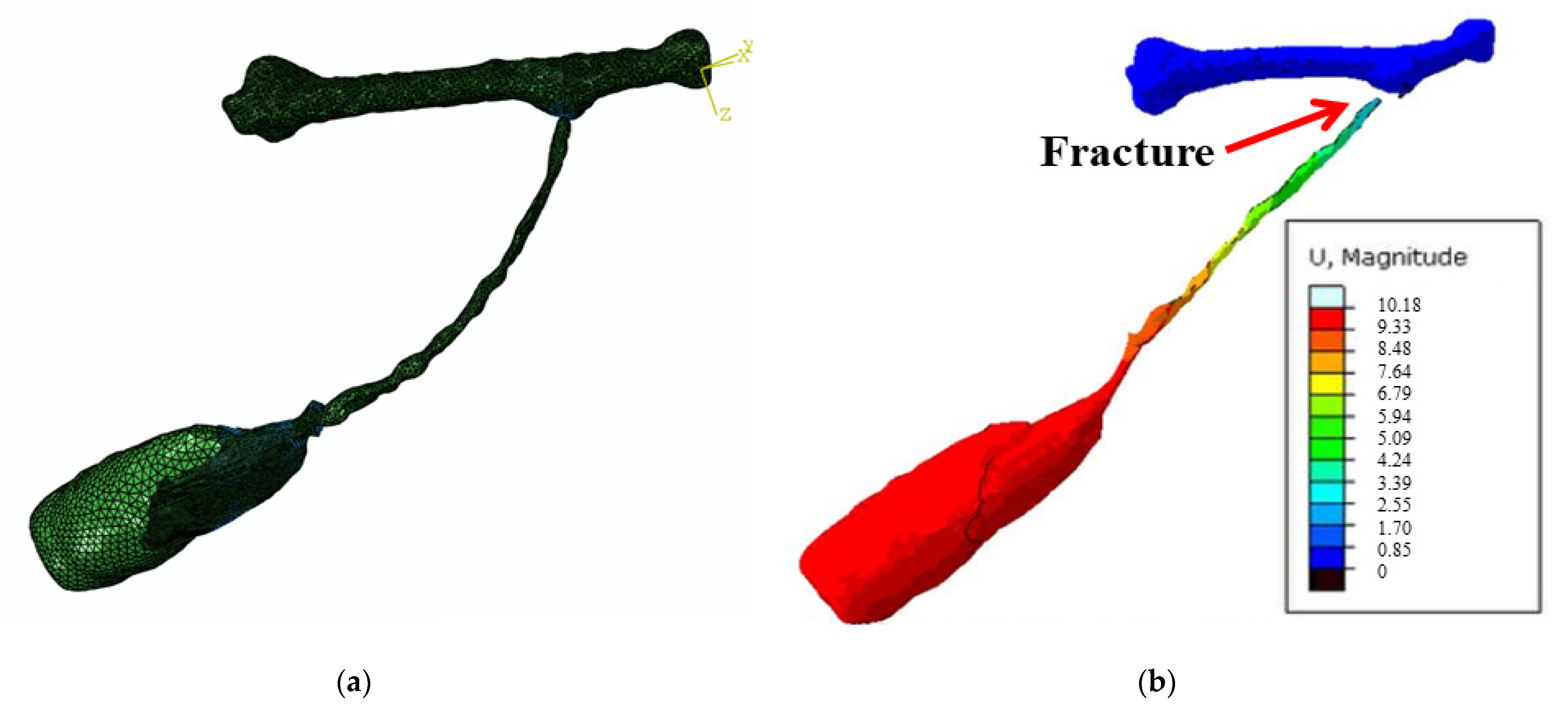 Forests 12 00699 g003