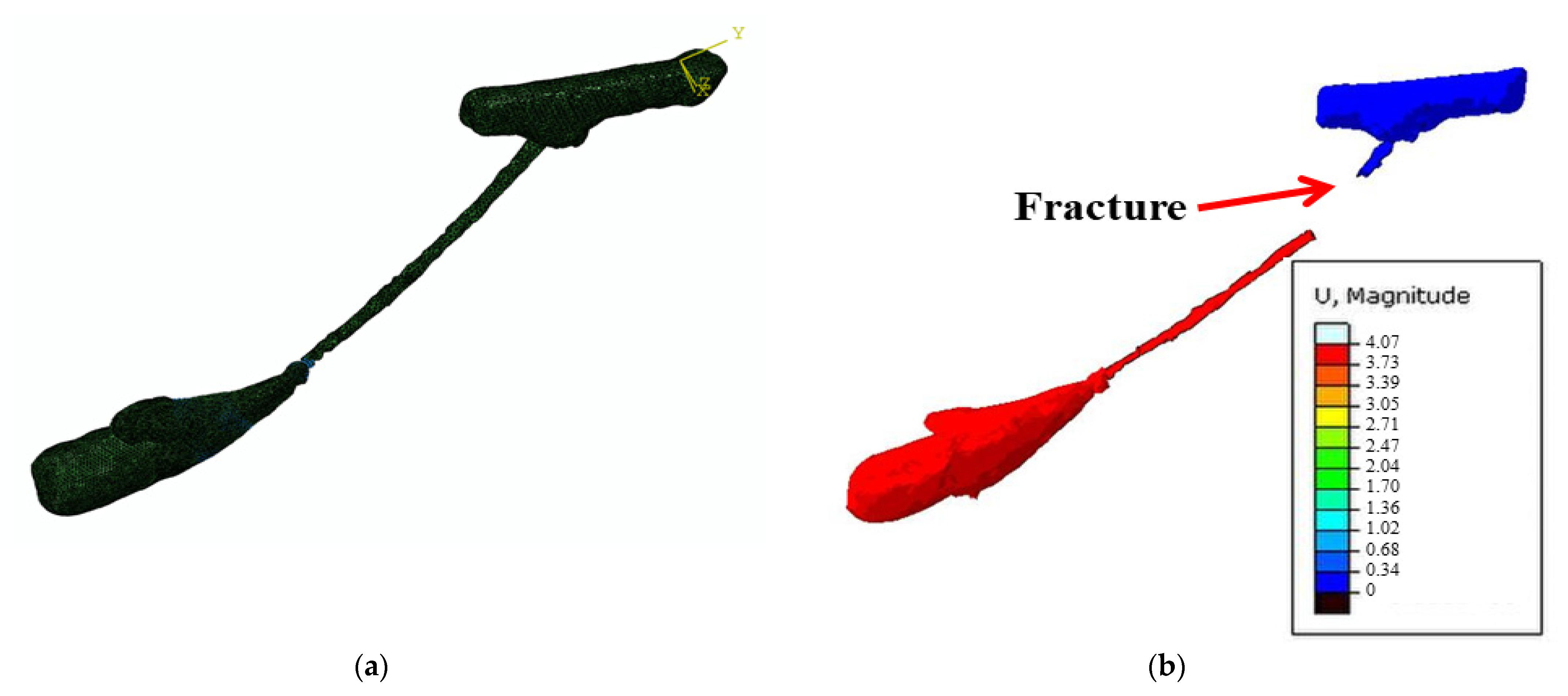 Forests 12 00699 g004