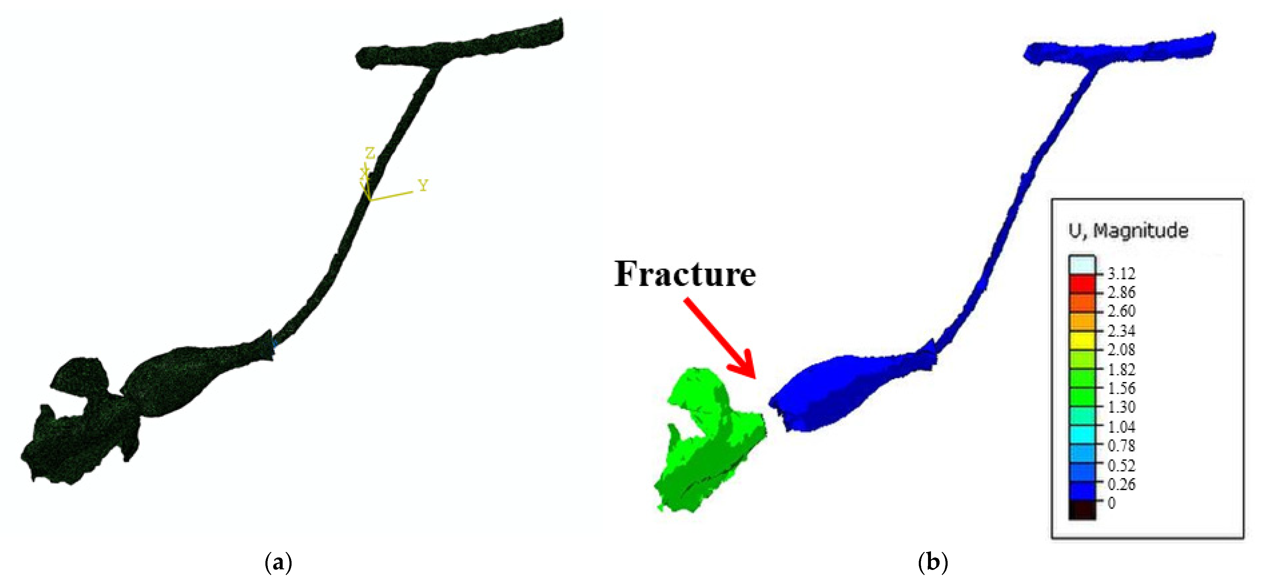 Forests 12 00699 g005