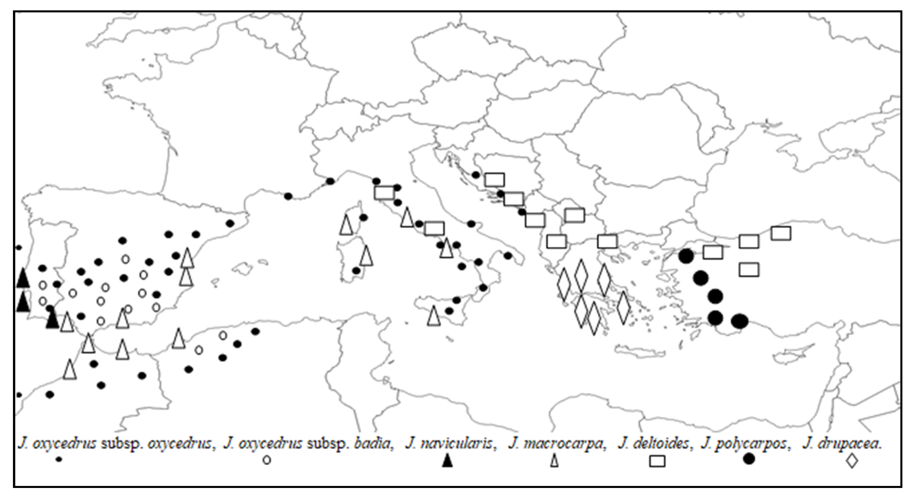 Forests 12 00703 g004 Forests 12 00703 g004