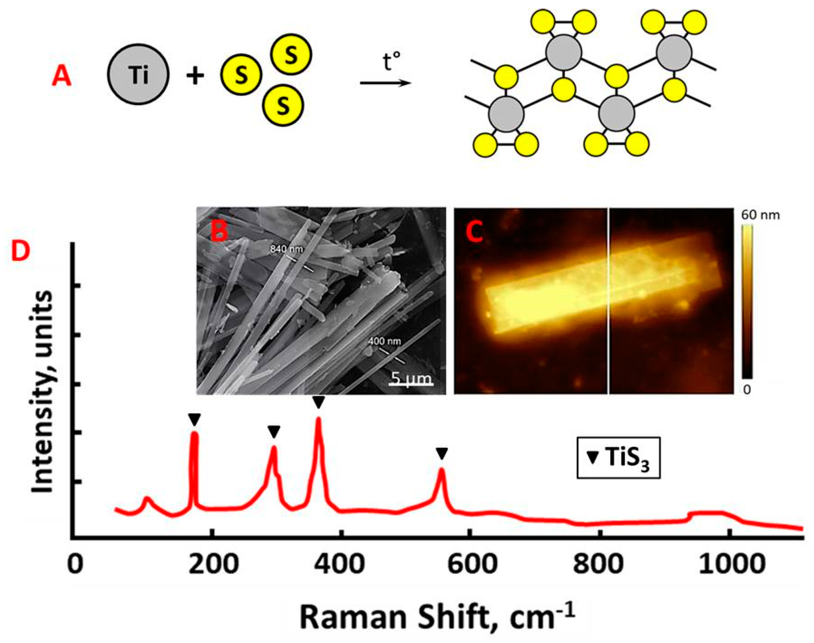 Forests 12 00713 g001 Forests 12 00713 g001