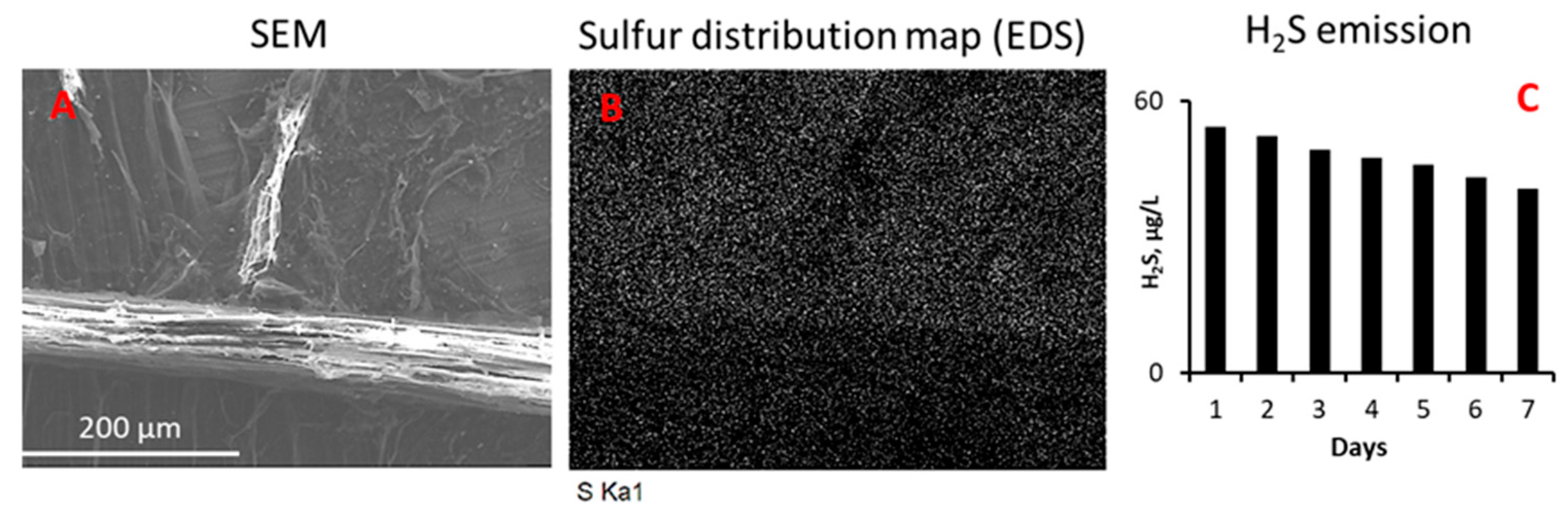 Forests 12 00713 g006 Forests 12 00713 g006