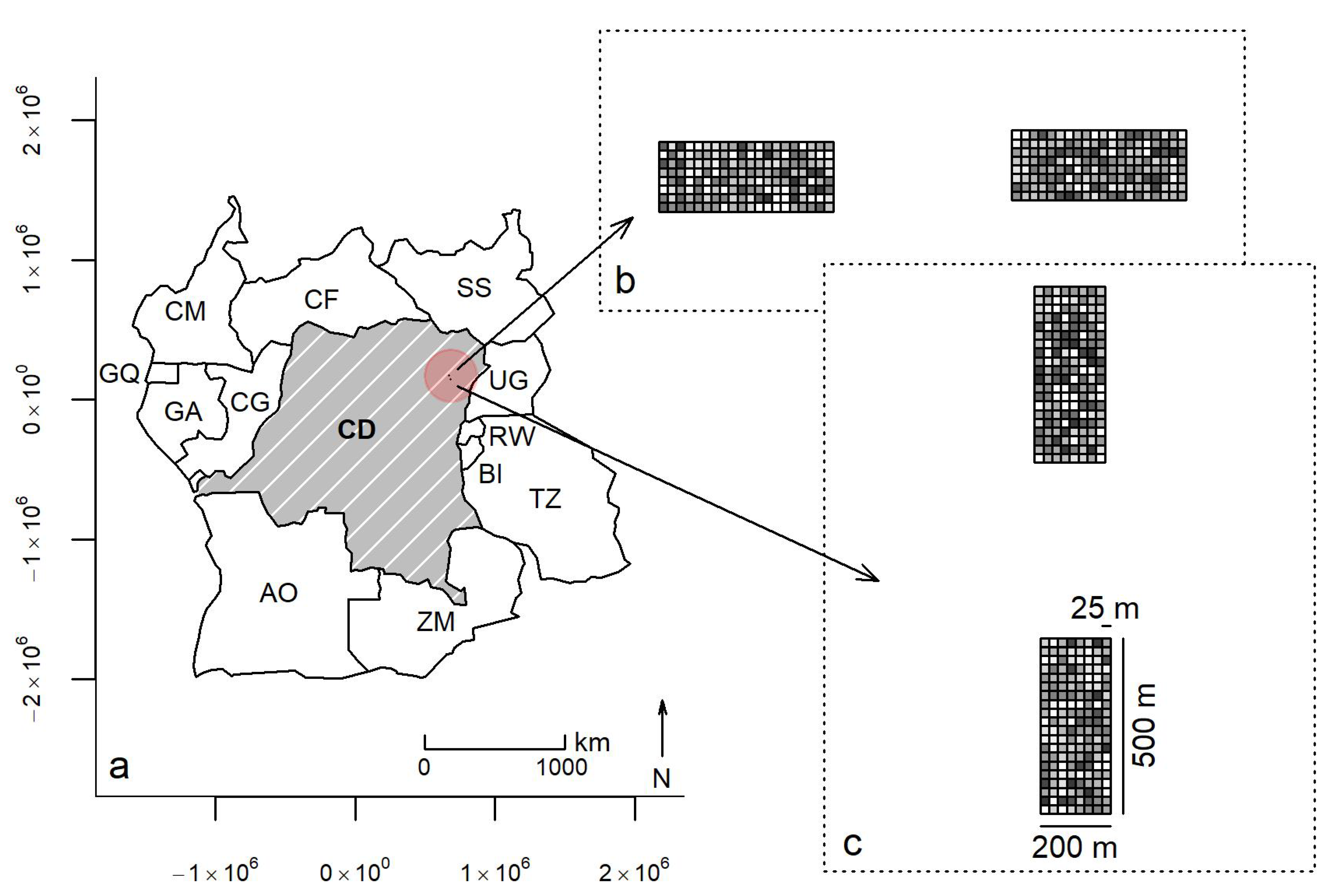 Forests 12 00738 g002