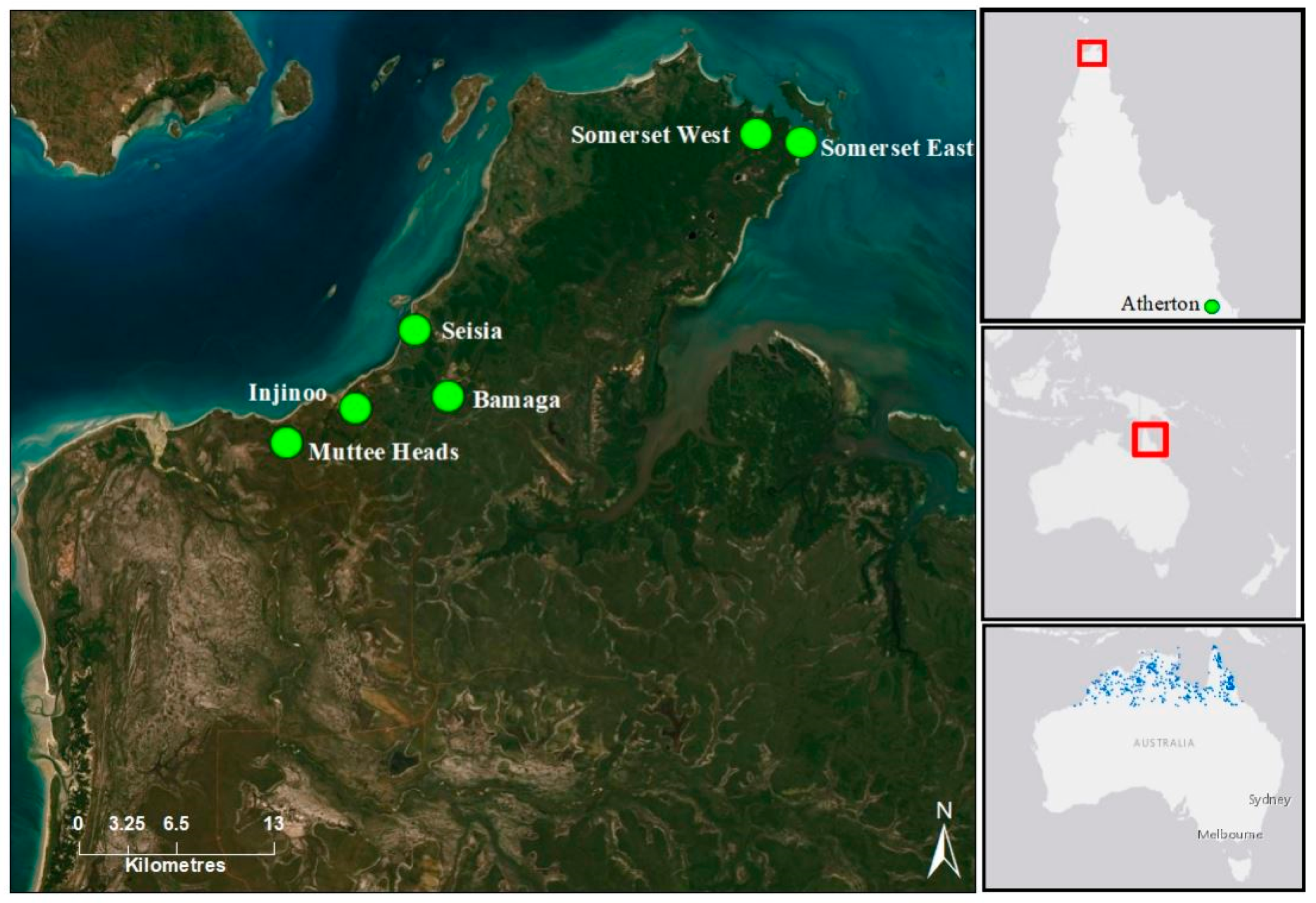 Forests 12 00741 g001