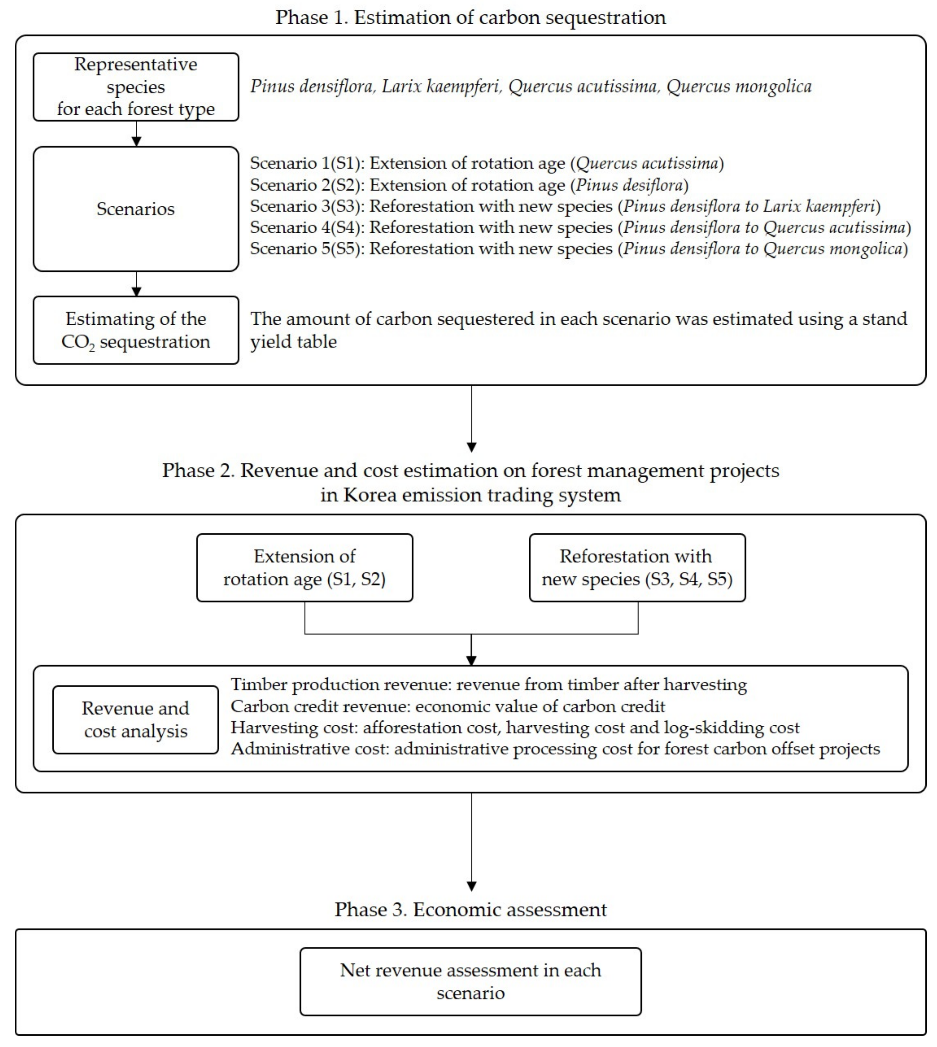 Forests 12 00742 g001