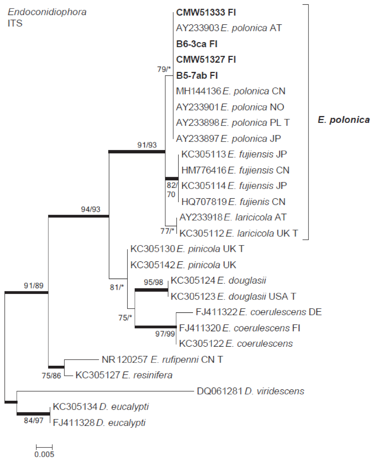 Forests 12 00743 g005