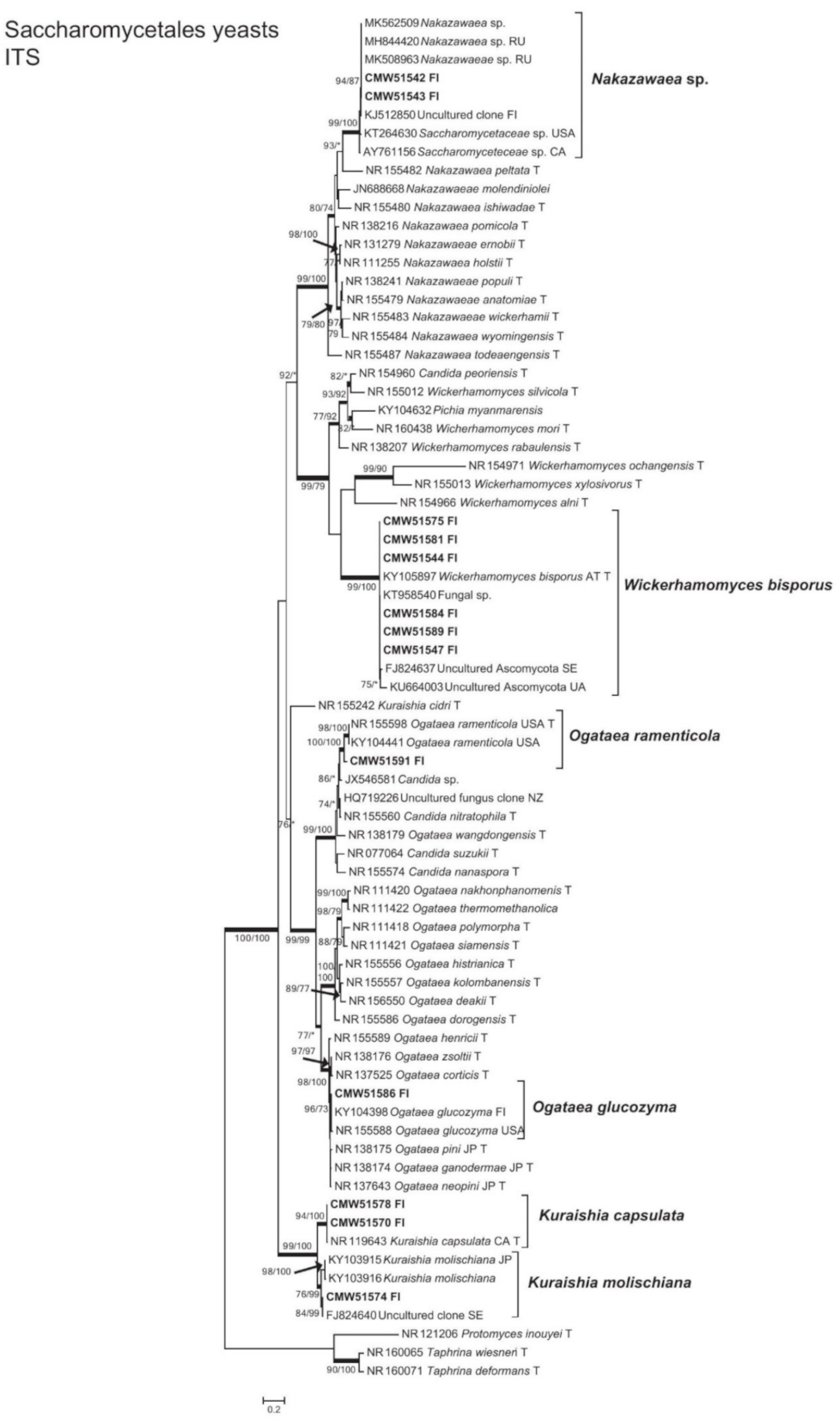 Forests 12 00743 g007