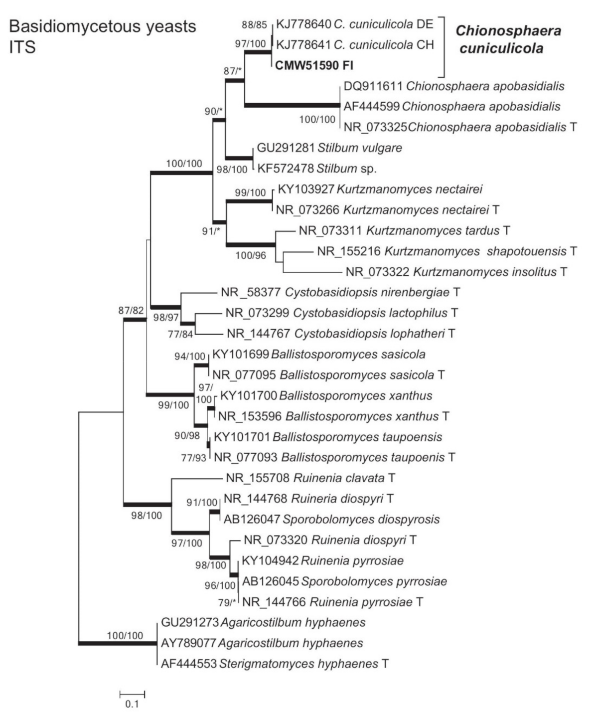 Forests 12 00743 g008
