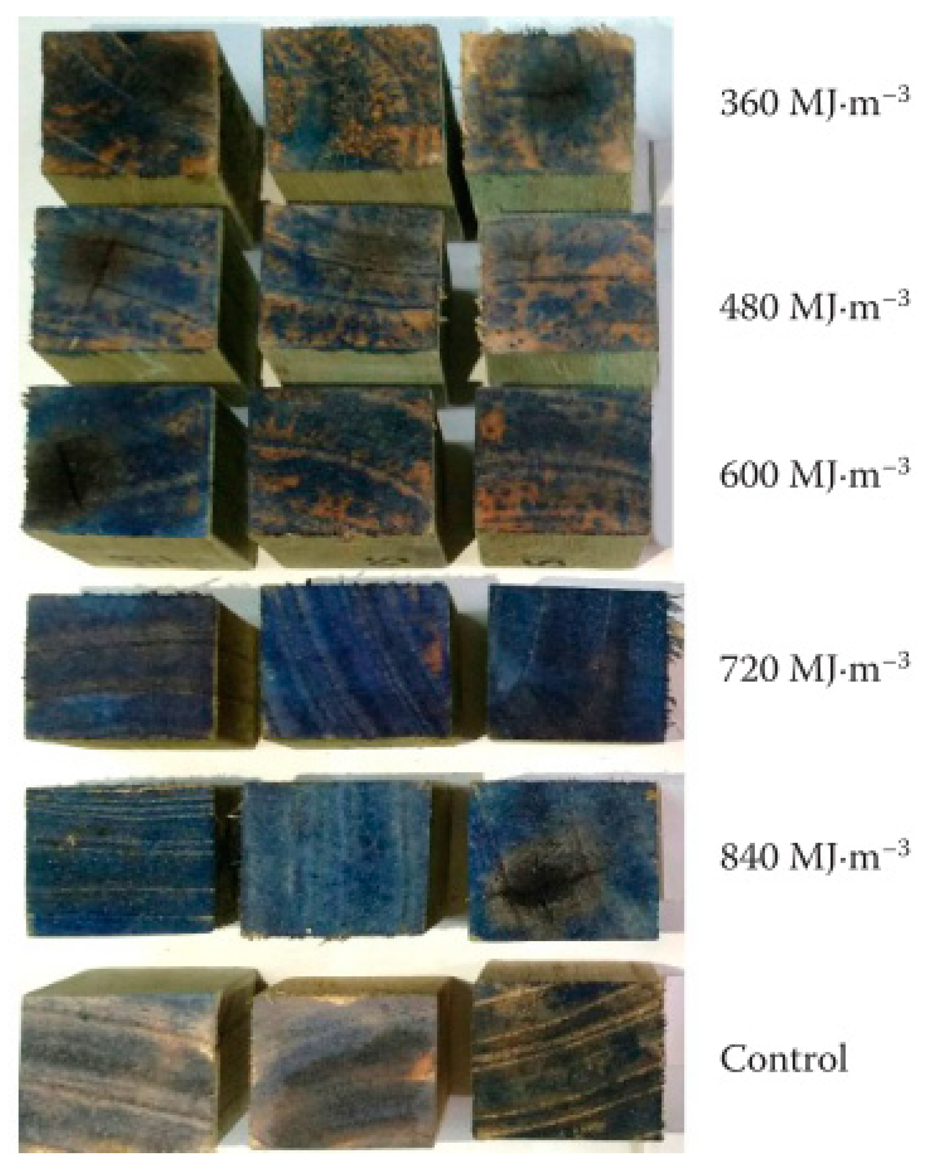 Forests 12 00745 g007