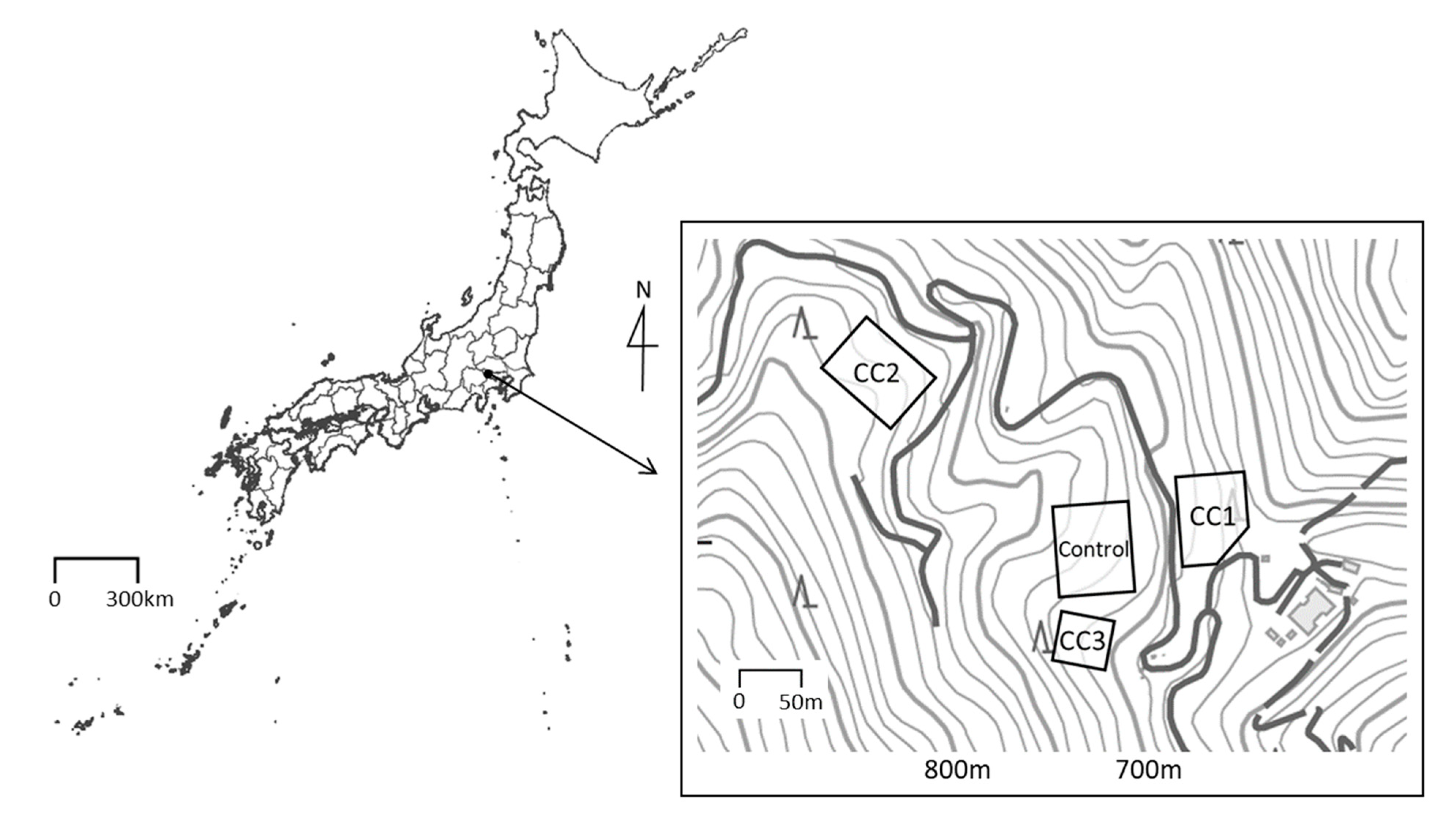 Forests 12 00754 g001 Forests 12 00754 g001