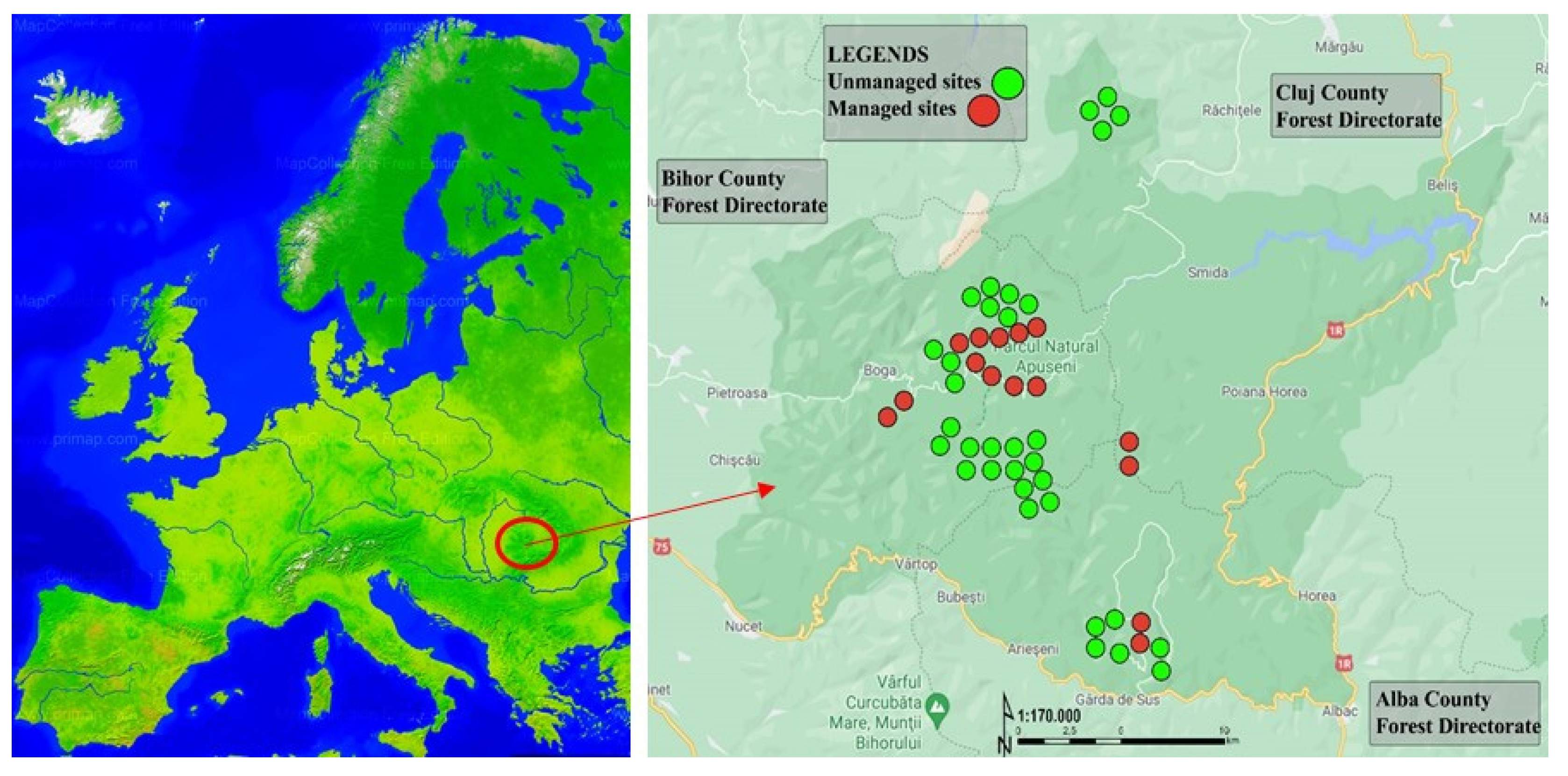 Forests 12 00760 g001
