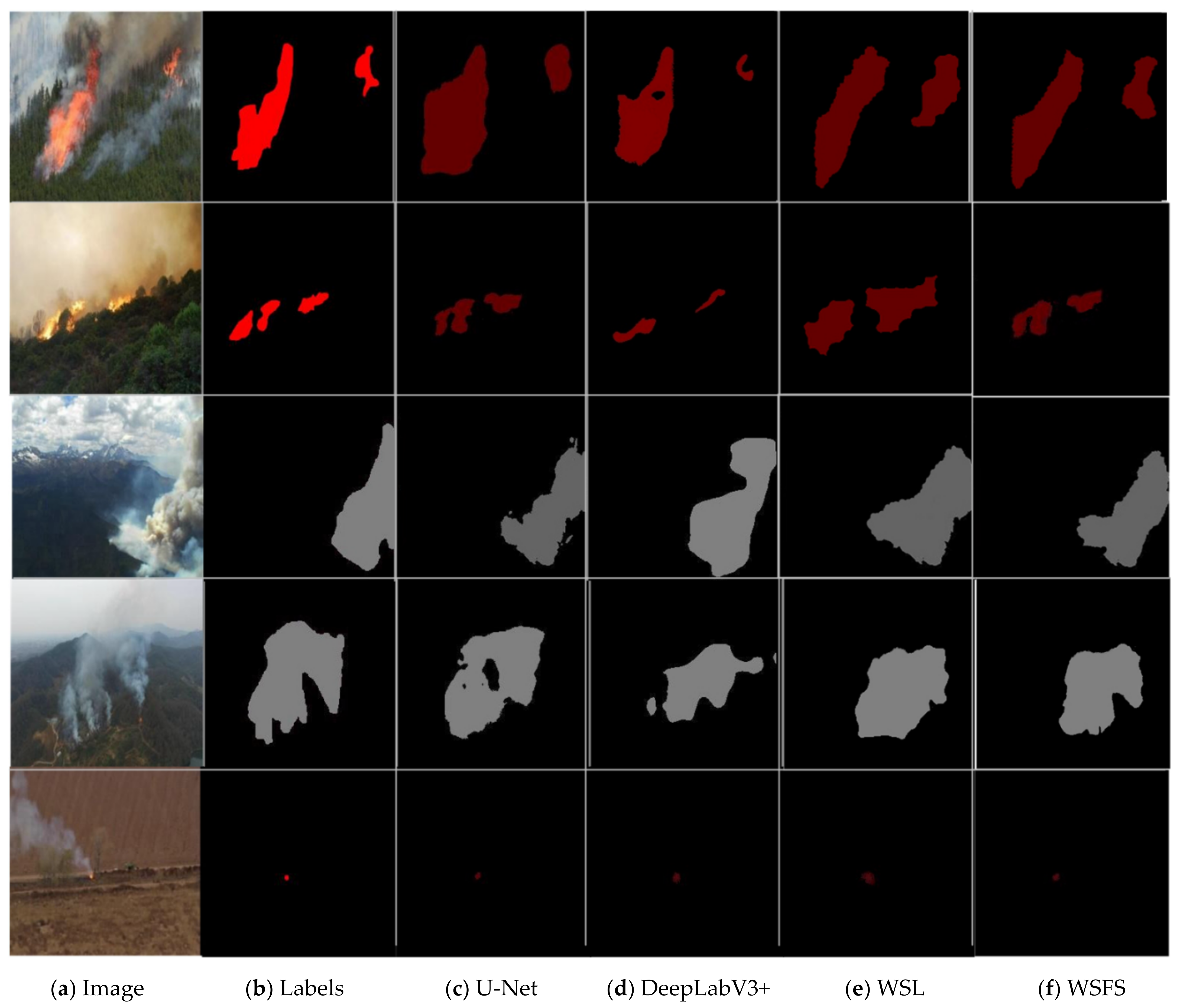 Forests 12 00768 g007