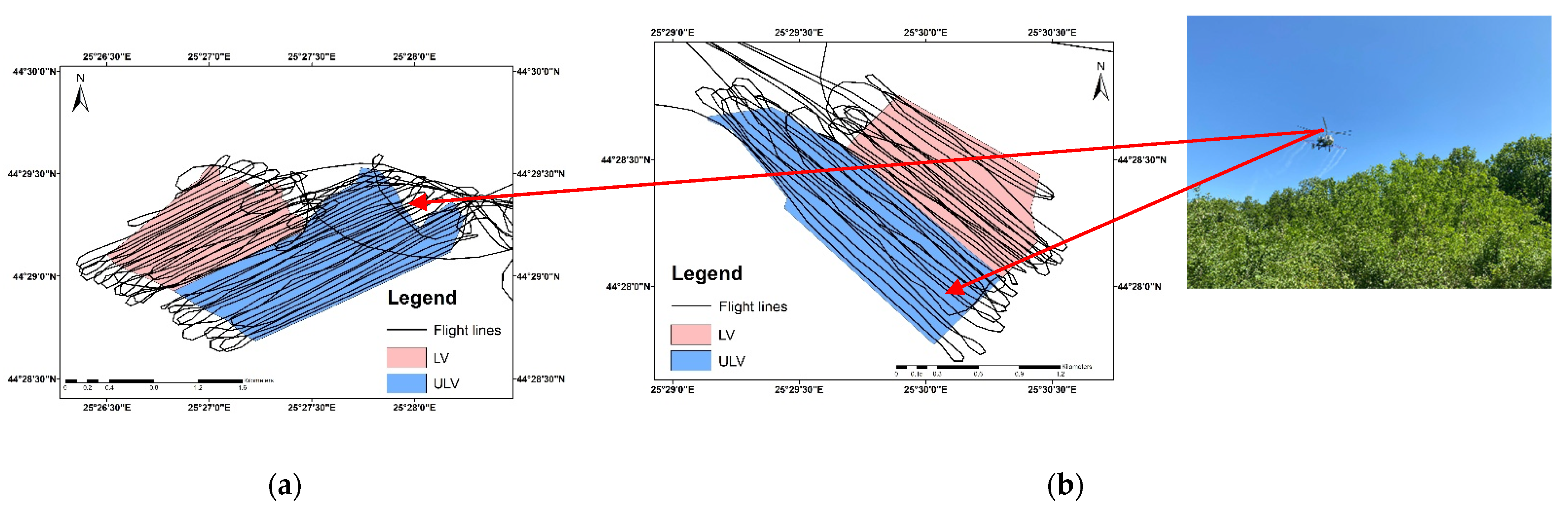 Forests 12 00770 g002 Forests 12 00770 g002