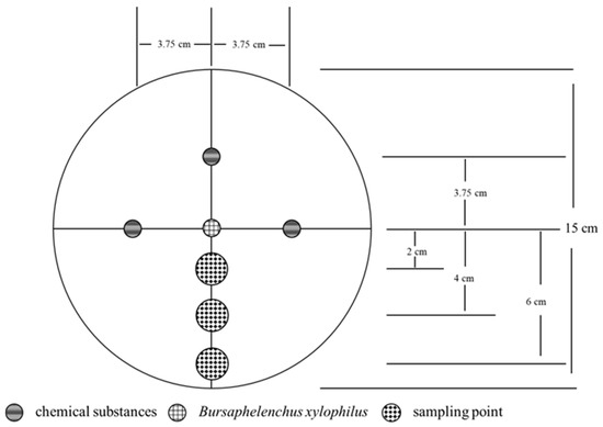 Effects of Several Chemicals on the Migration Behavior of
