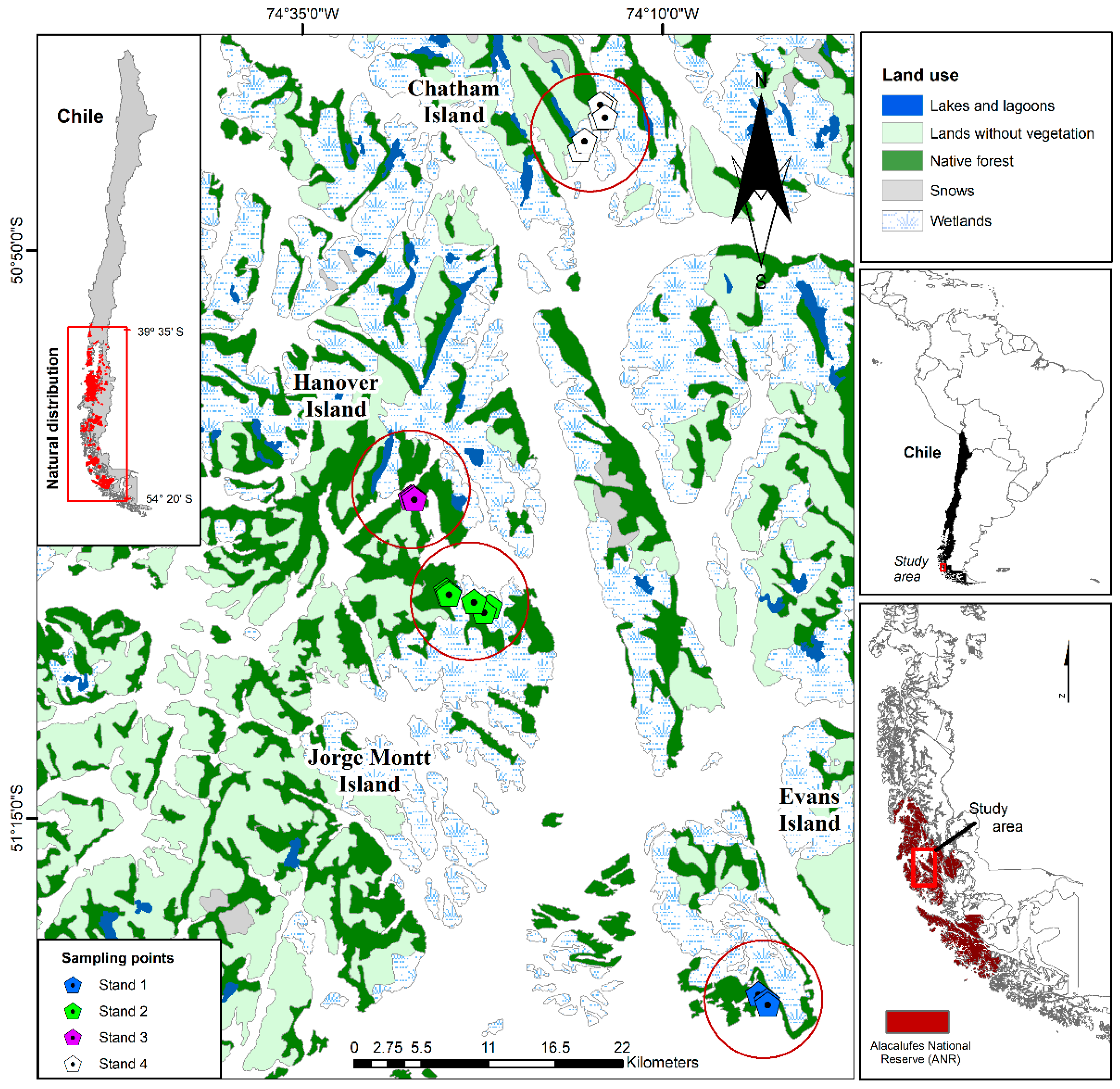 Forests 12 00775 g001