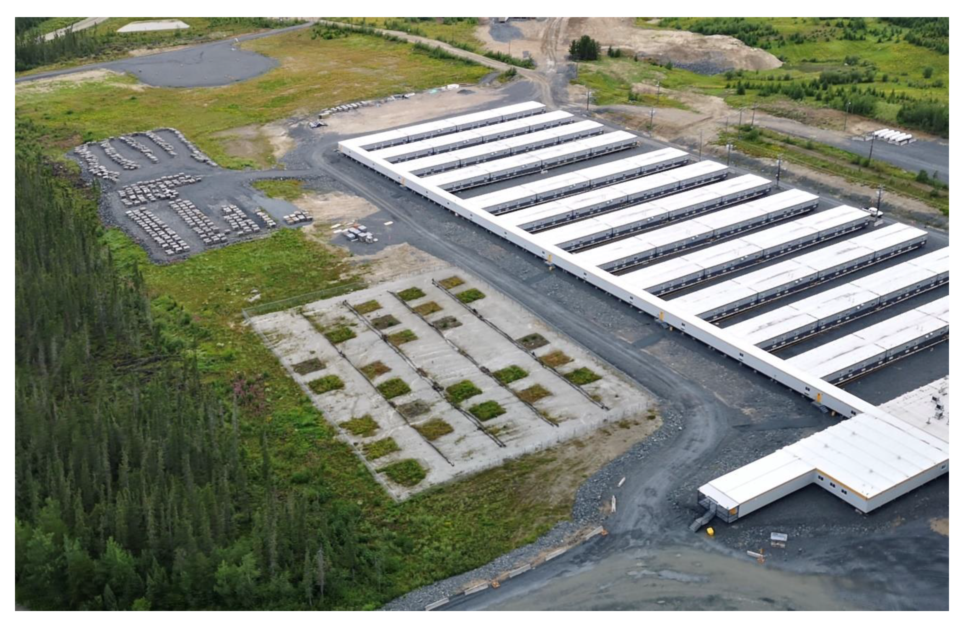 Forests 12 00776 g001